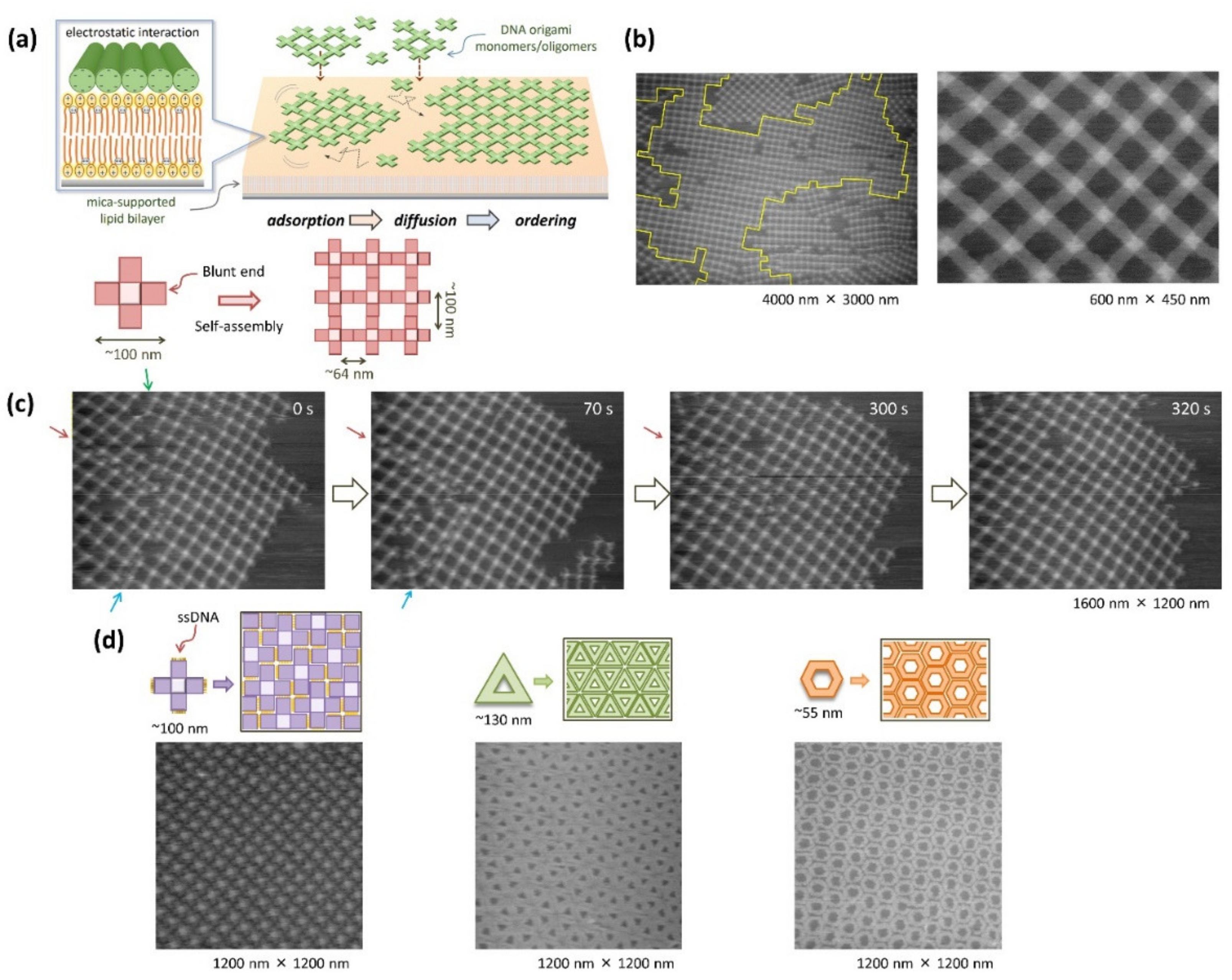 Molecules 27 04224 g003