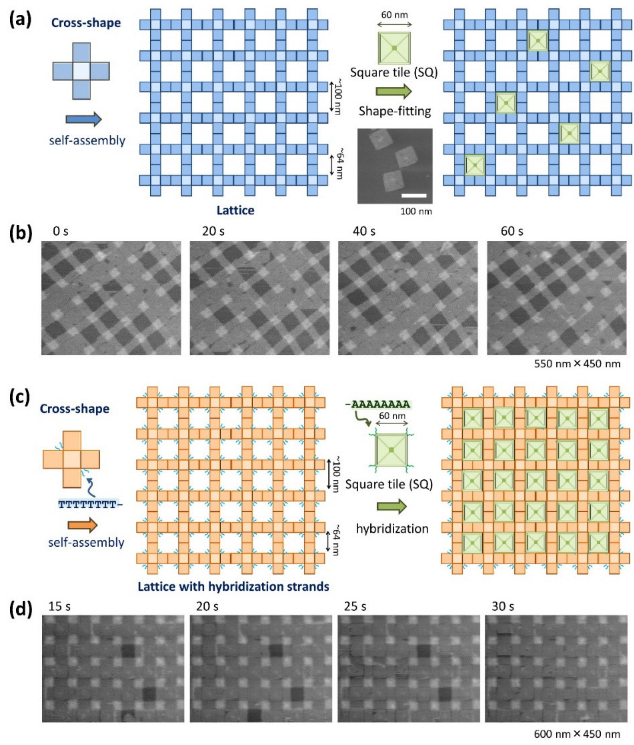 Molecules 27 04224 g004
