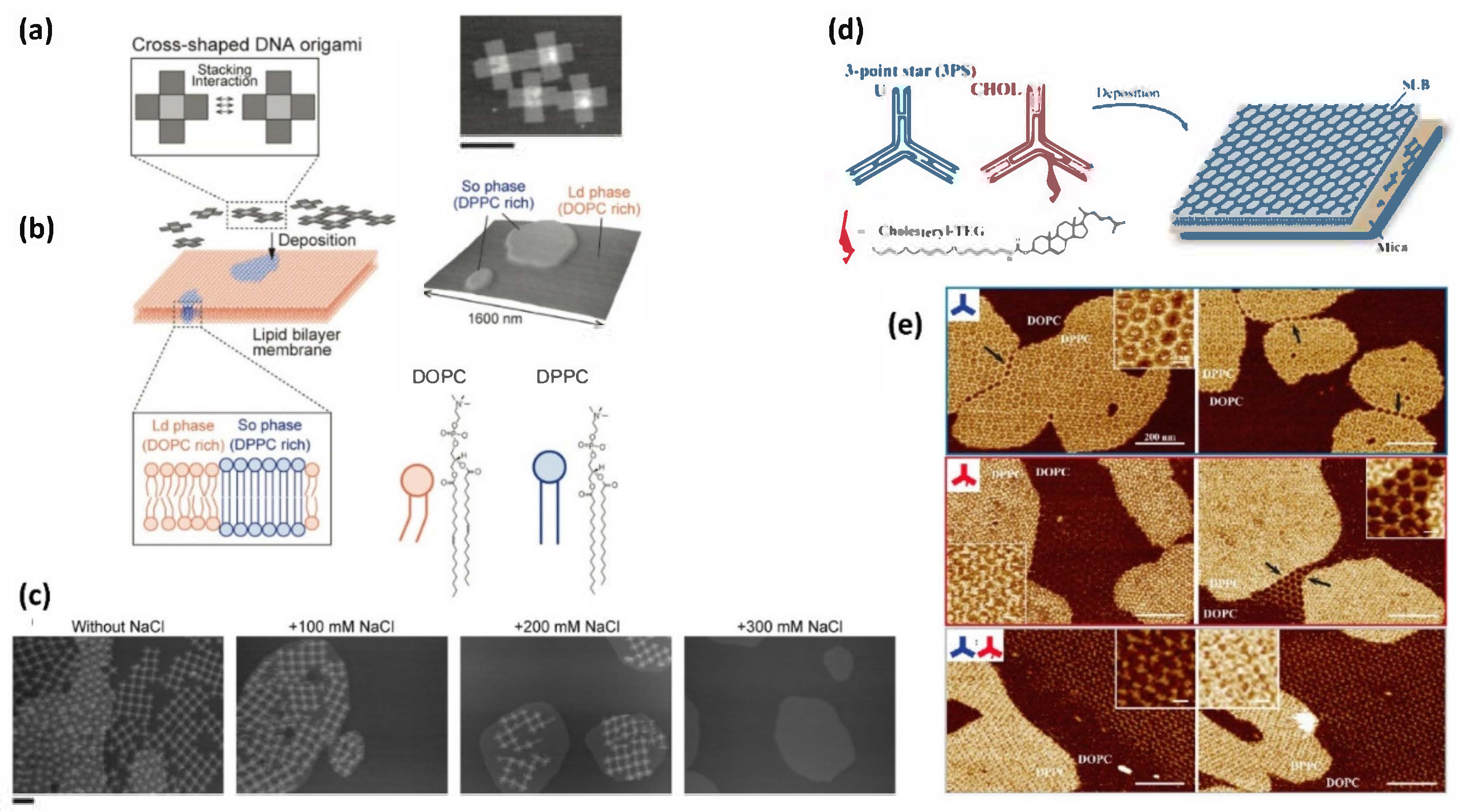 Molecules 27 04224 g006