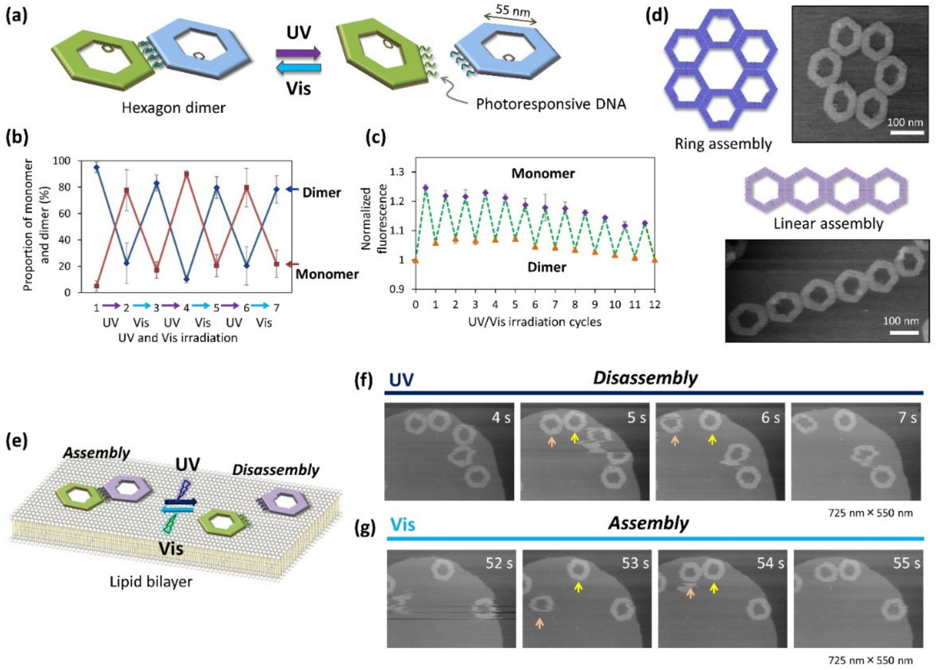 Molecules 27 04224 g007