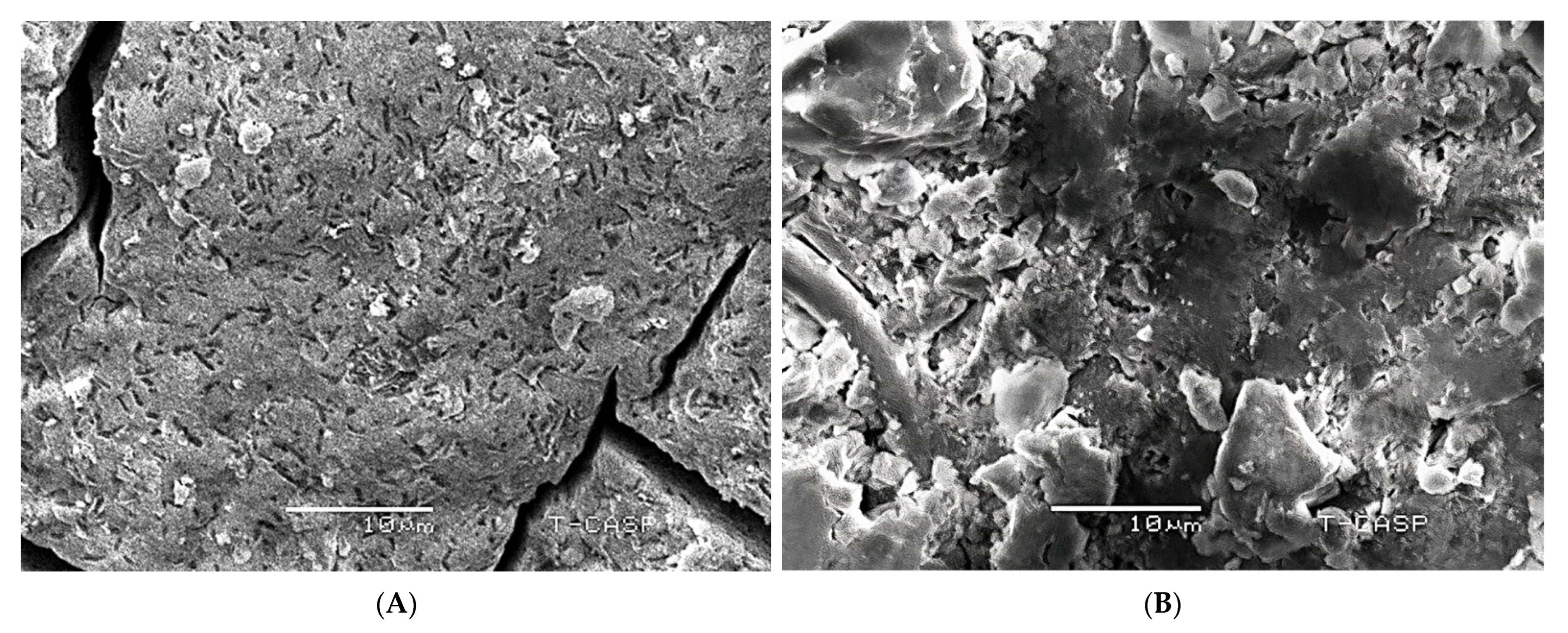 Molecules 27 04226 g005