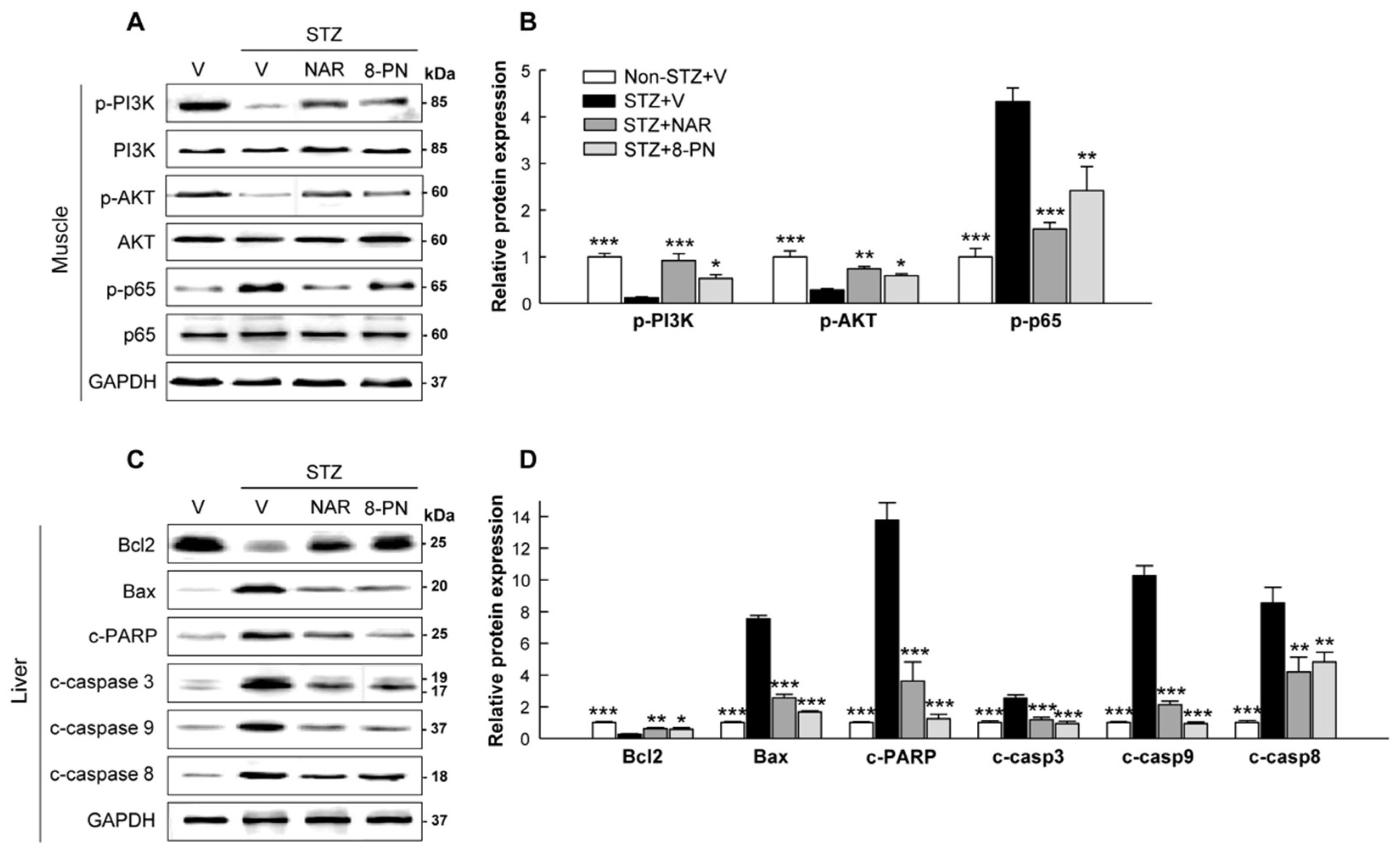 Molecules 27 04227 g005