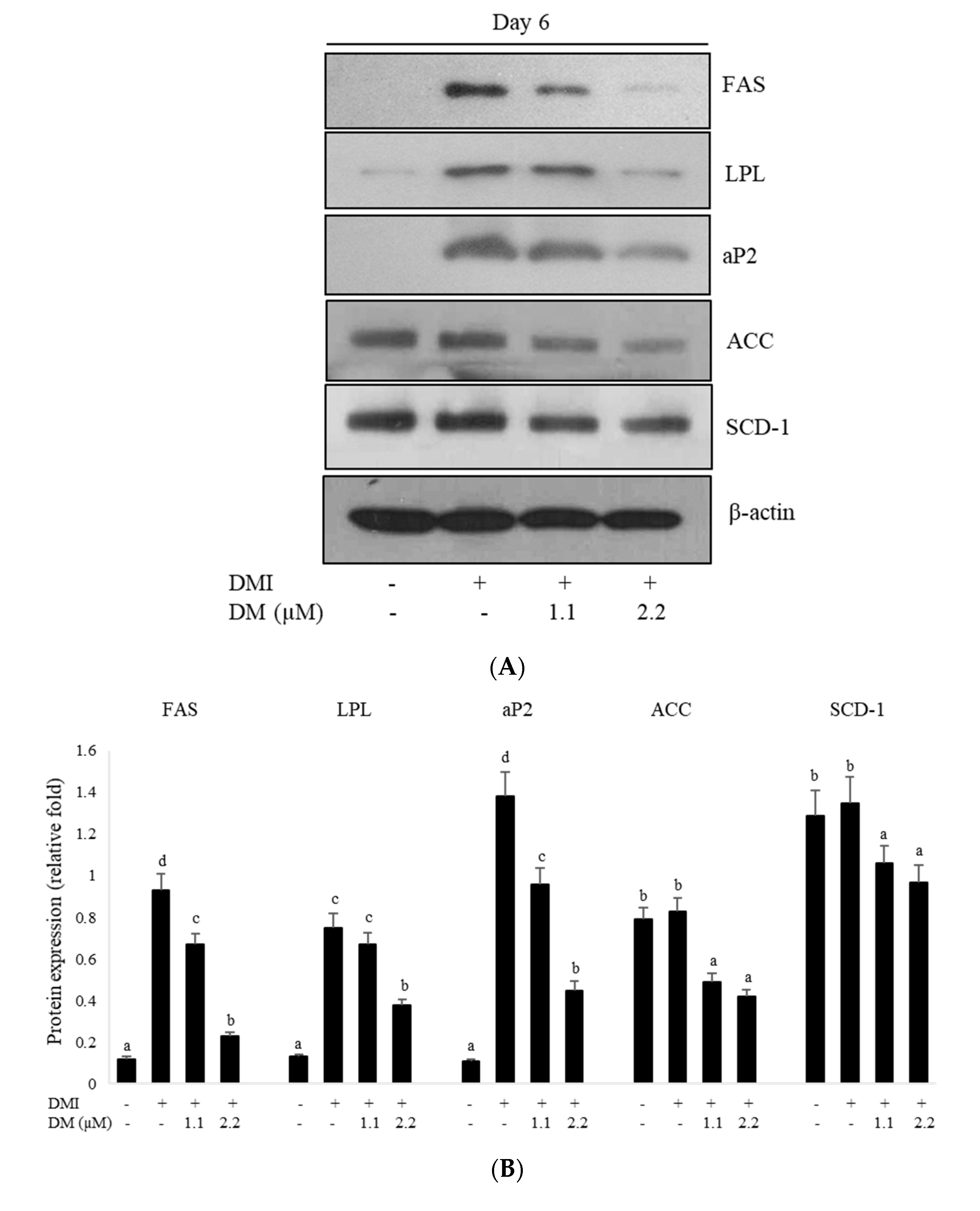 Molecules 27 04232 g003a