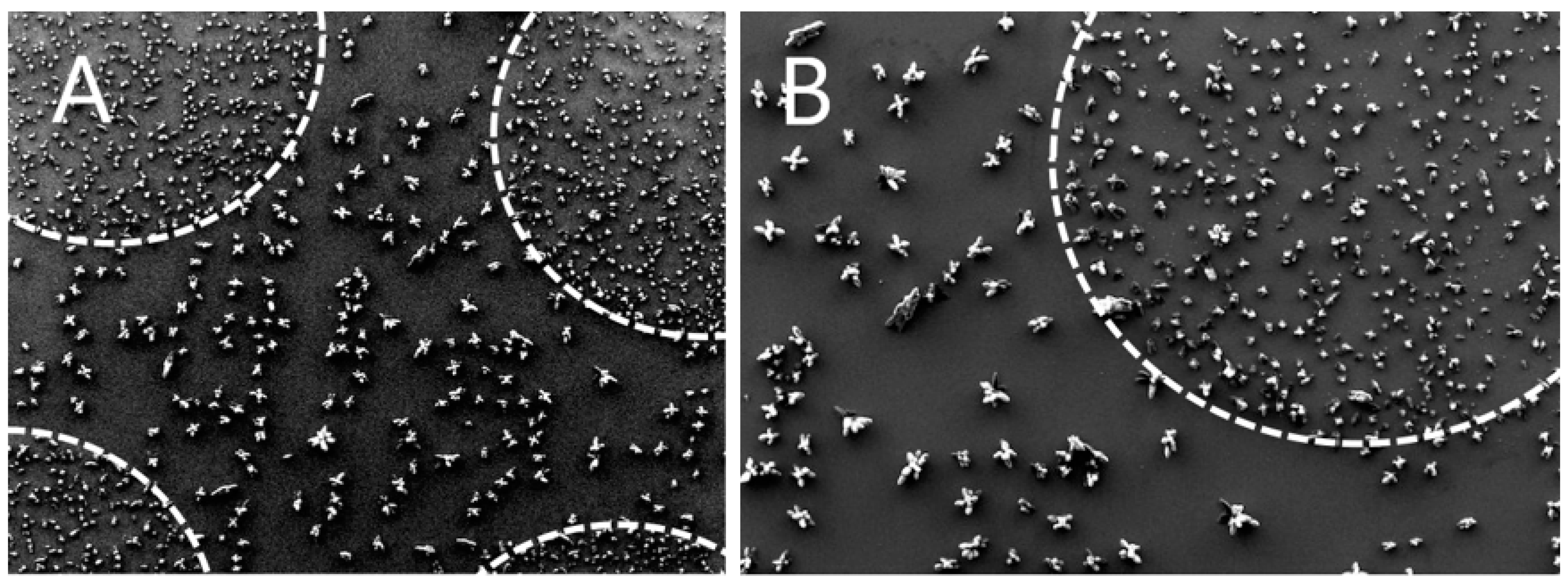 Molecules 27 04237 g002 Molecules 27 04237 g002