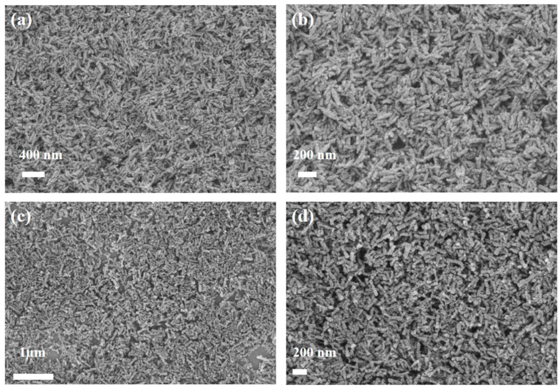 Molecules 27 04241 g002