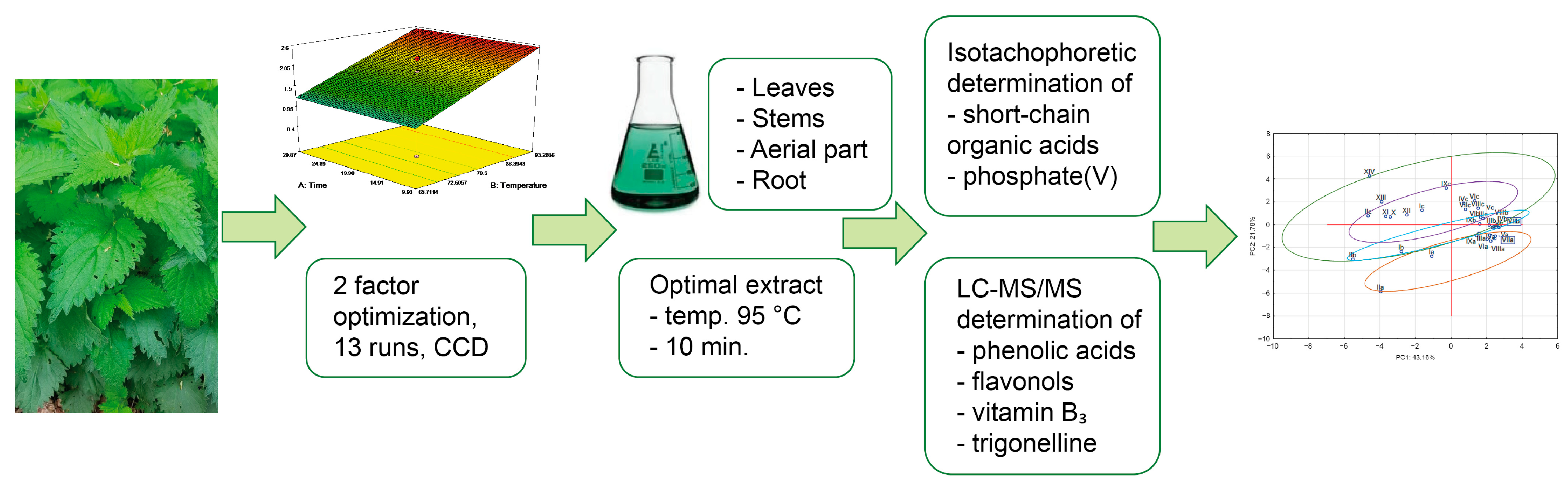 Molecules 27 04242 g003