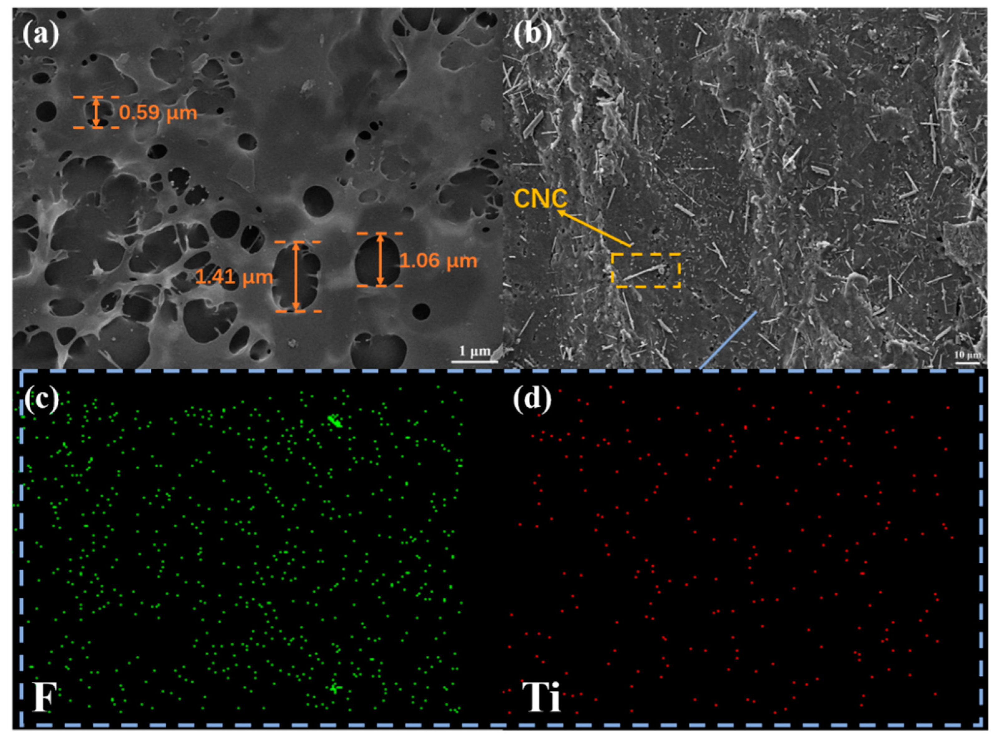 Molecules 27 04243 g003
