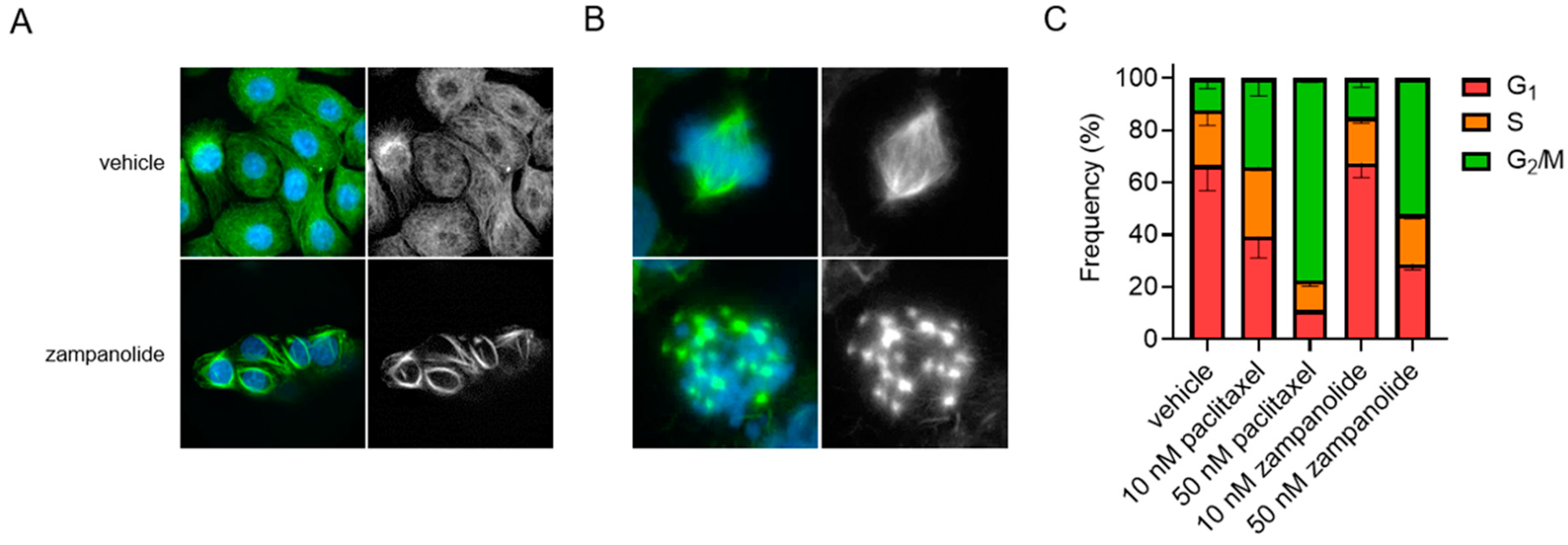 Molecules 27 04244 g003