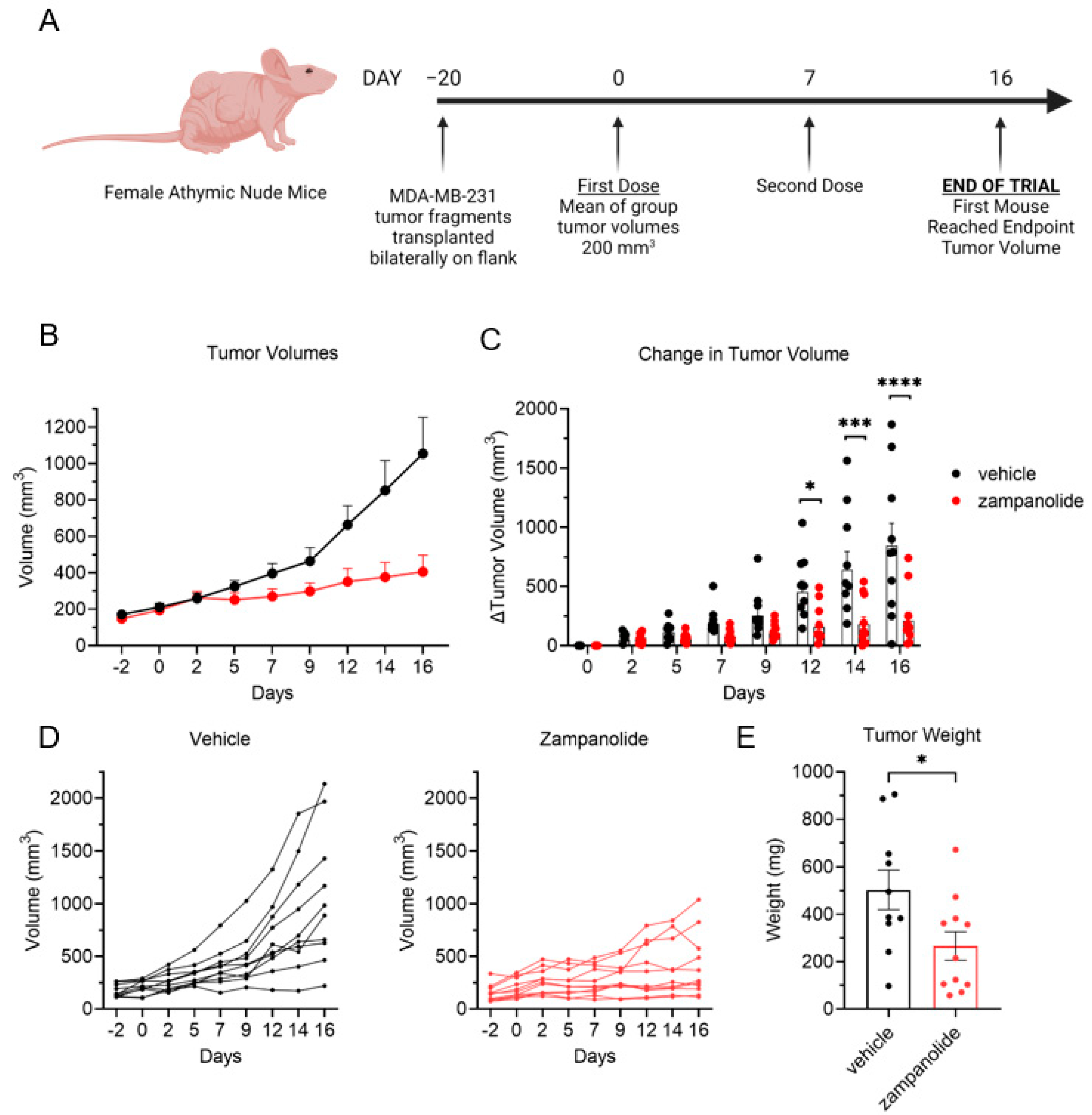 Molecules 27 04244 g005