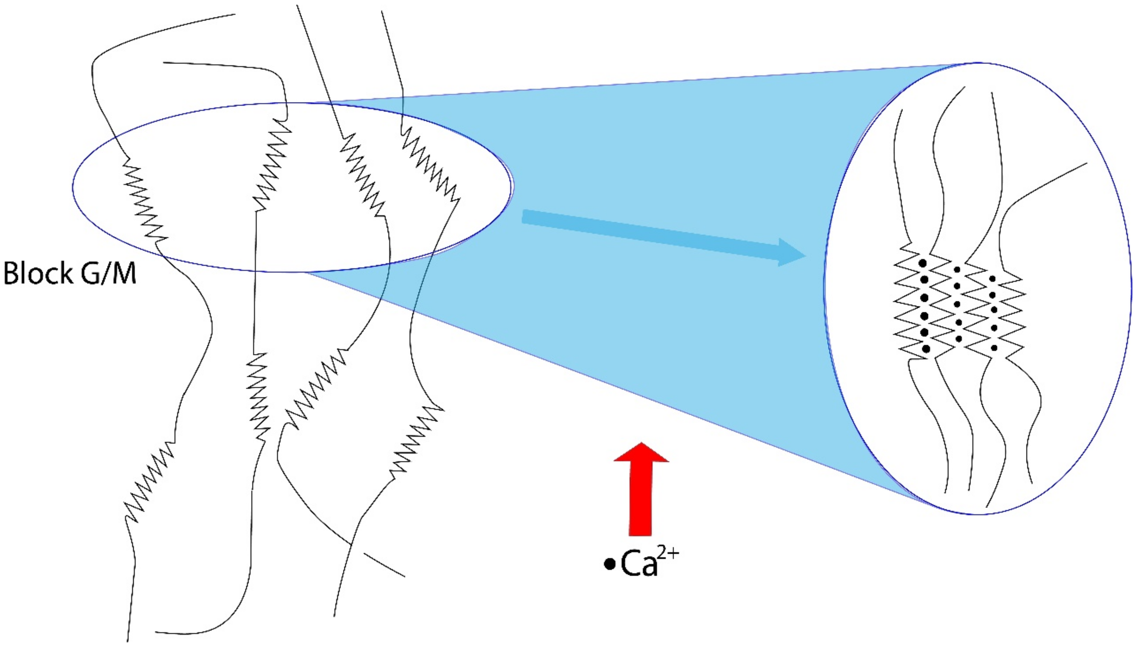 Molecules 27 04248 g002