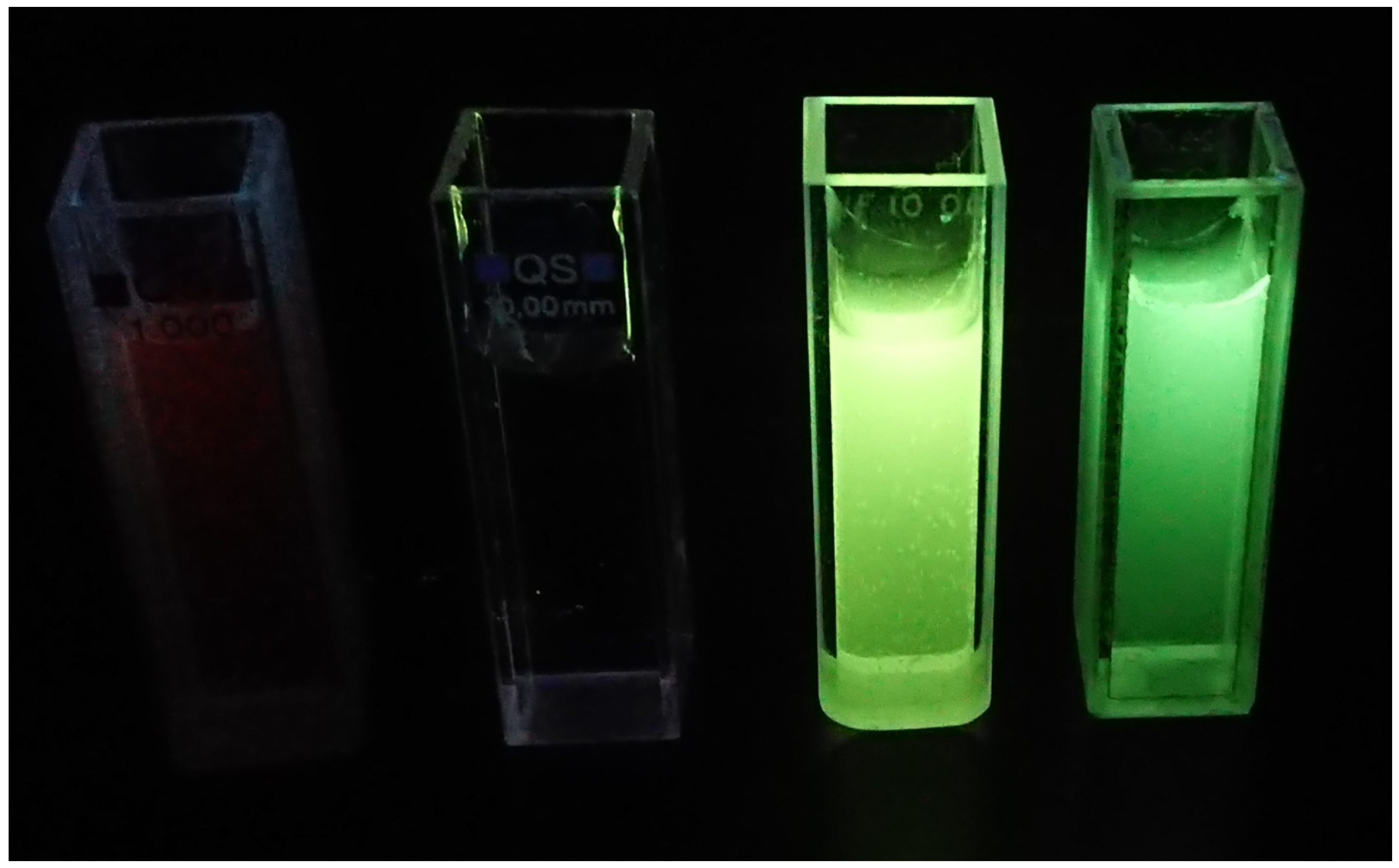 Molecules 27 04250 g008