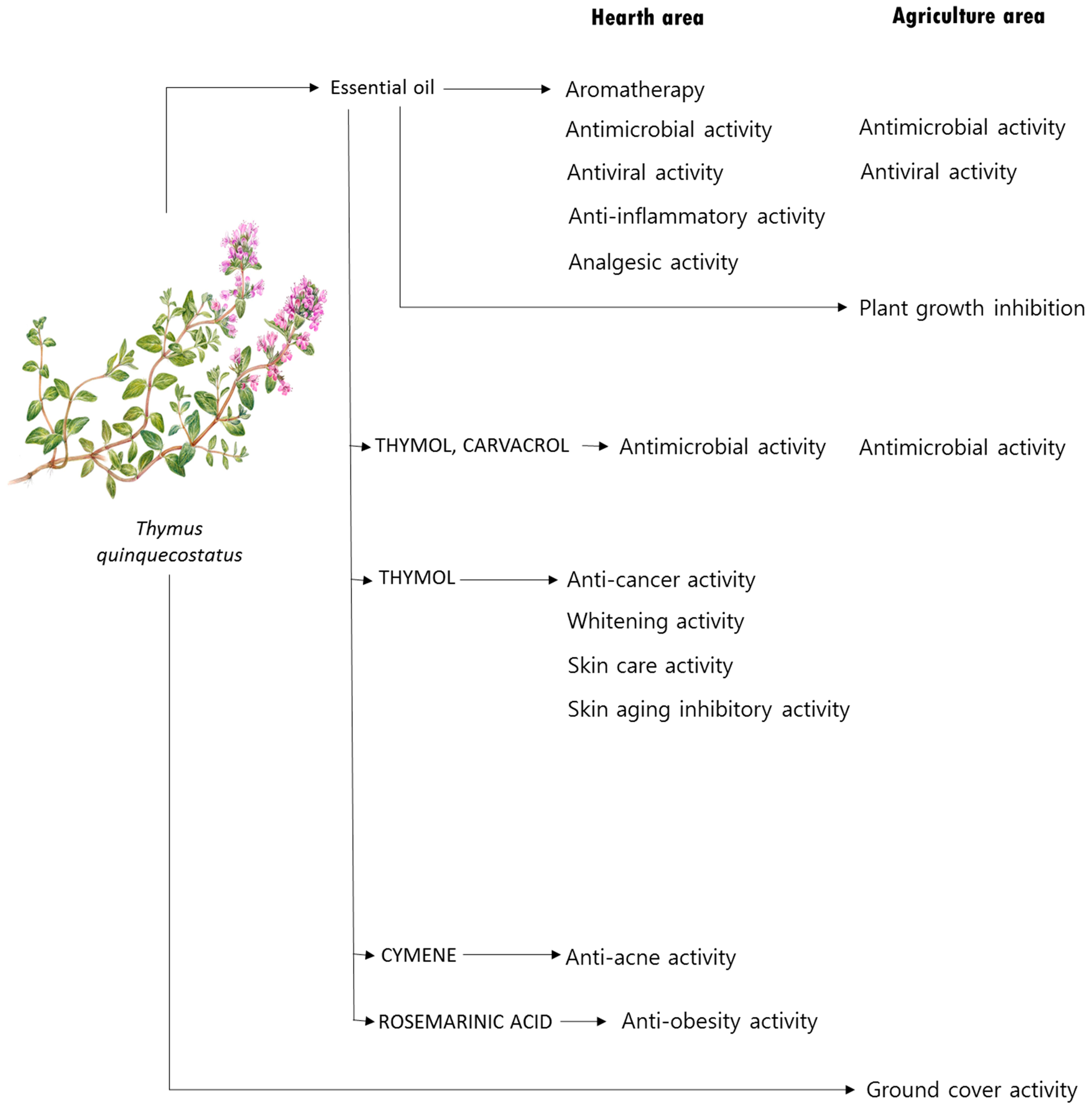 Molecules 27 04251 g003