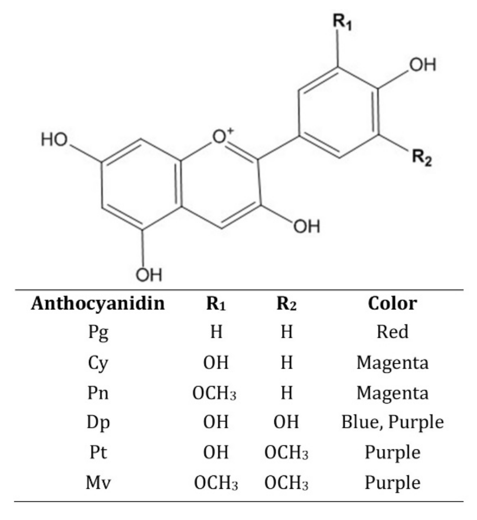 Molecules 27 04254 g001