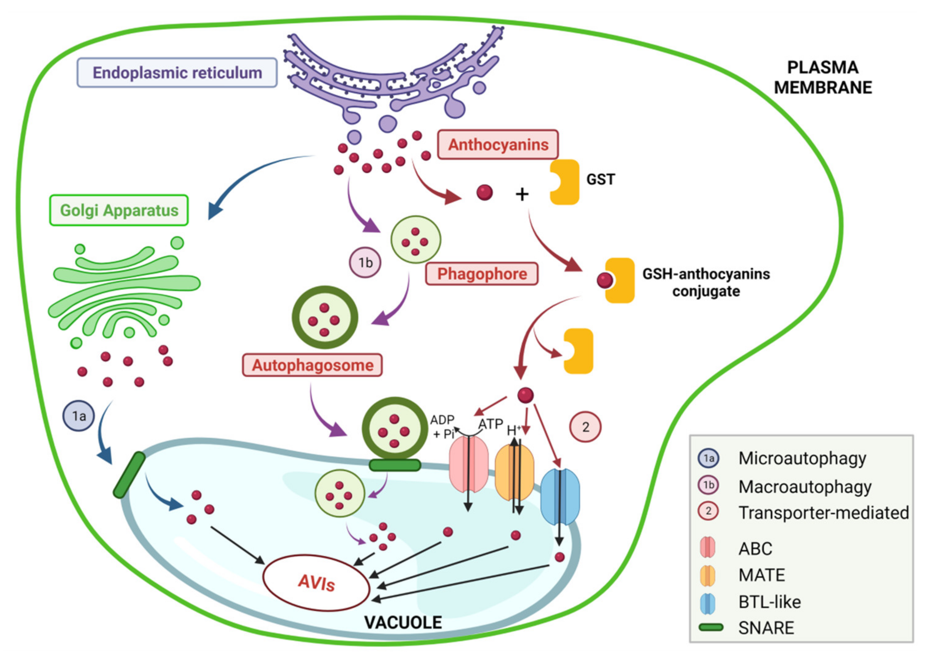Molecules 27 04254 g003