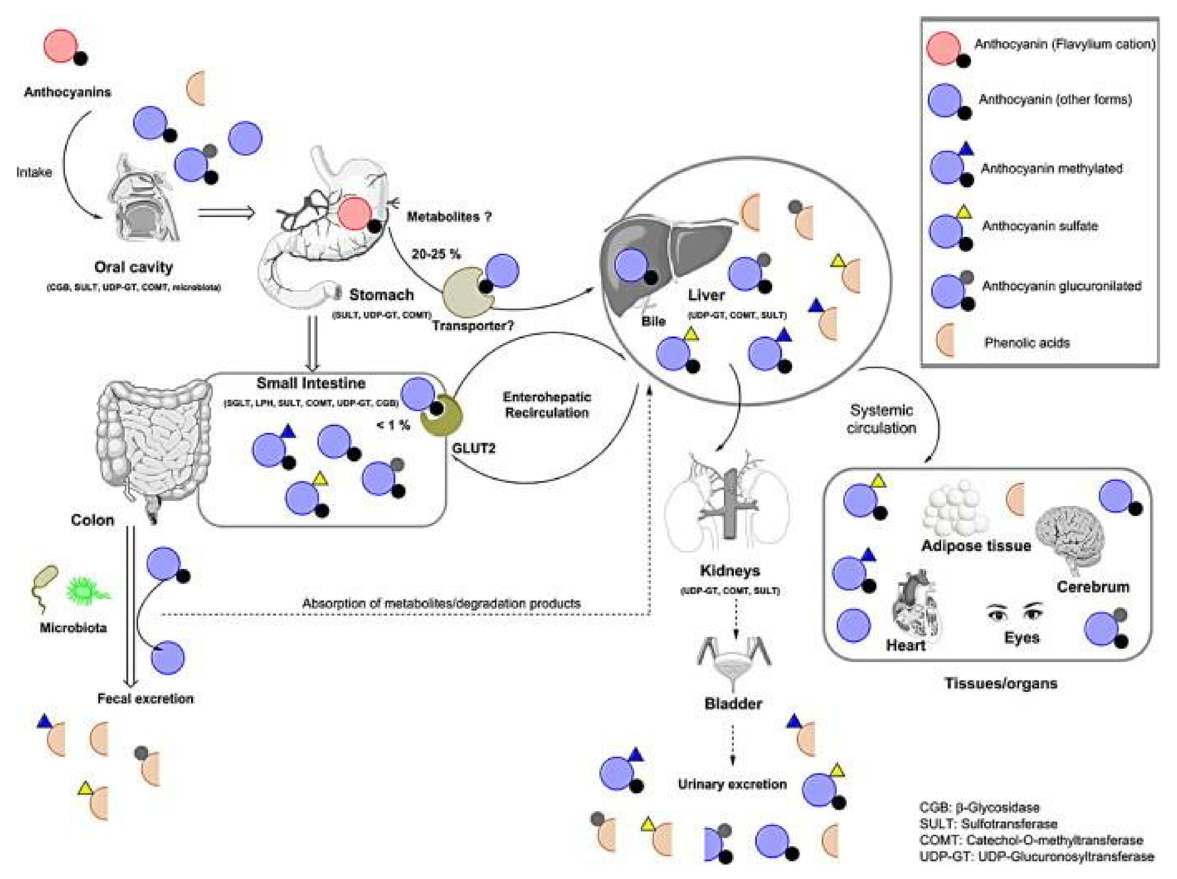 Molecules 27 04254 g005