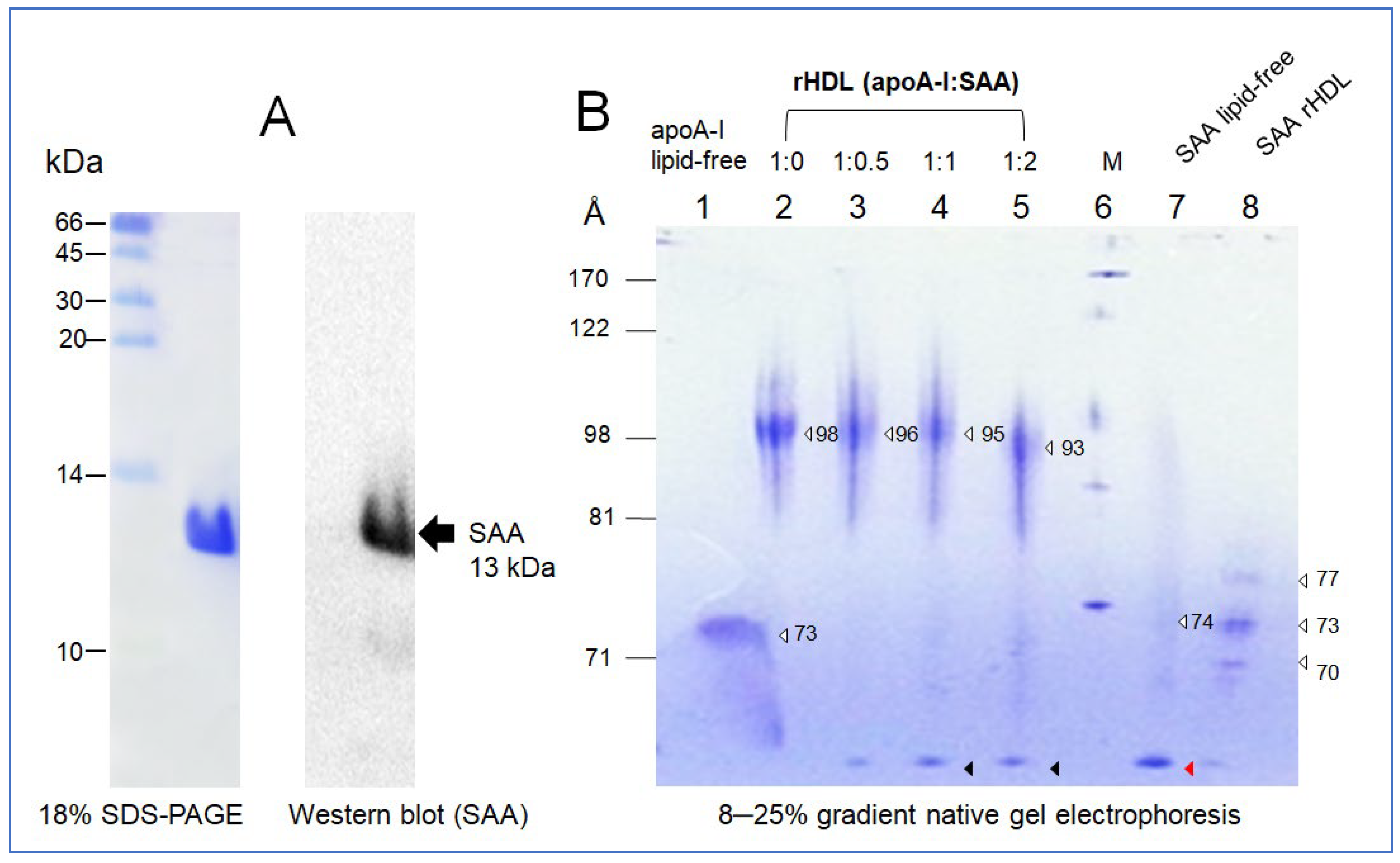 Molecules 27 04255 g001
