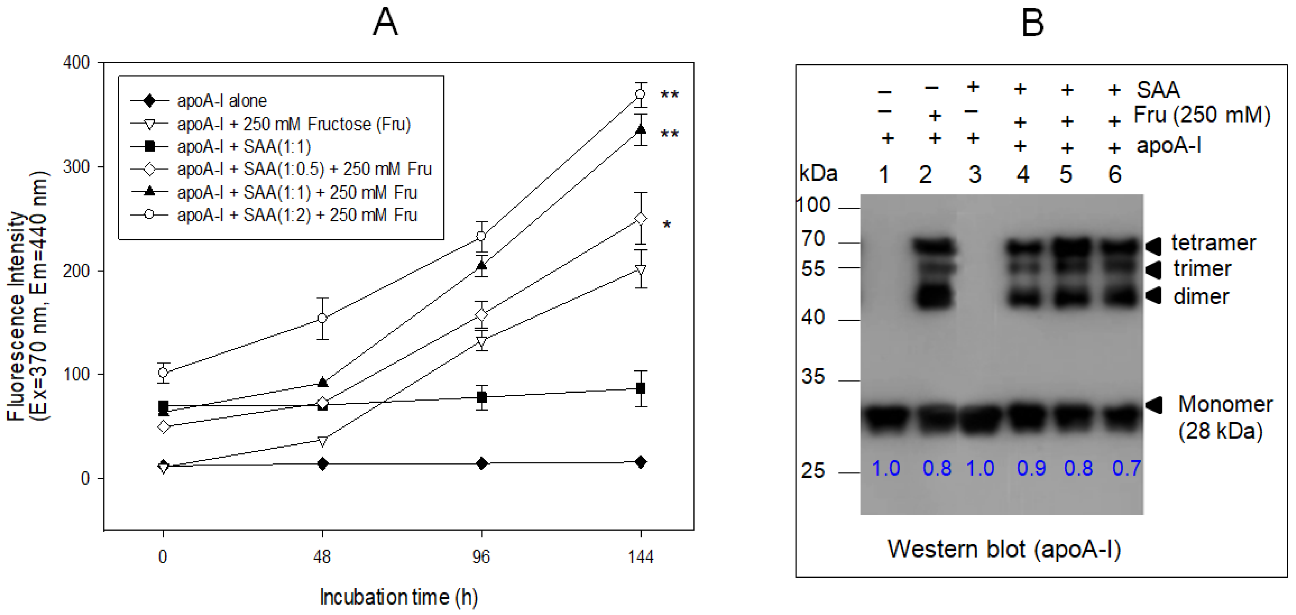 Molecules 27 04255 g006