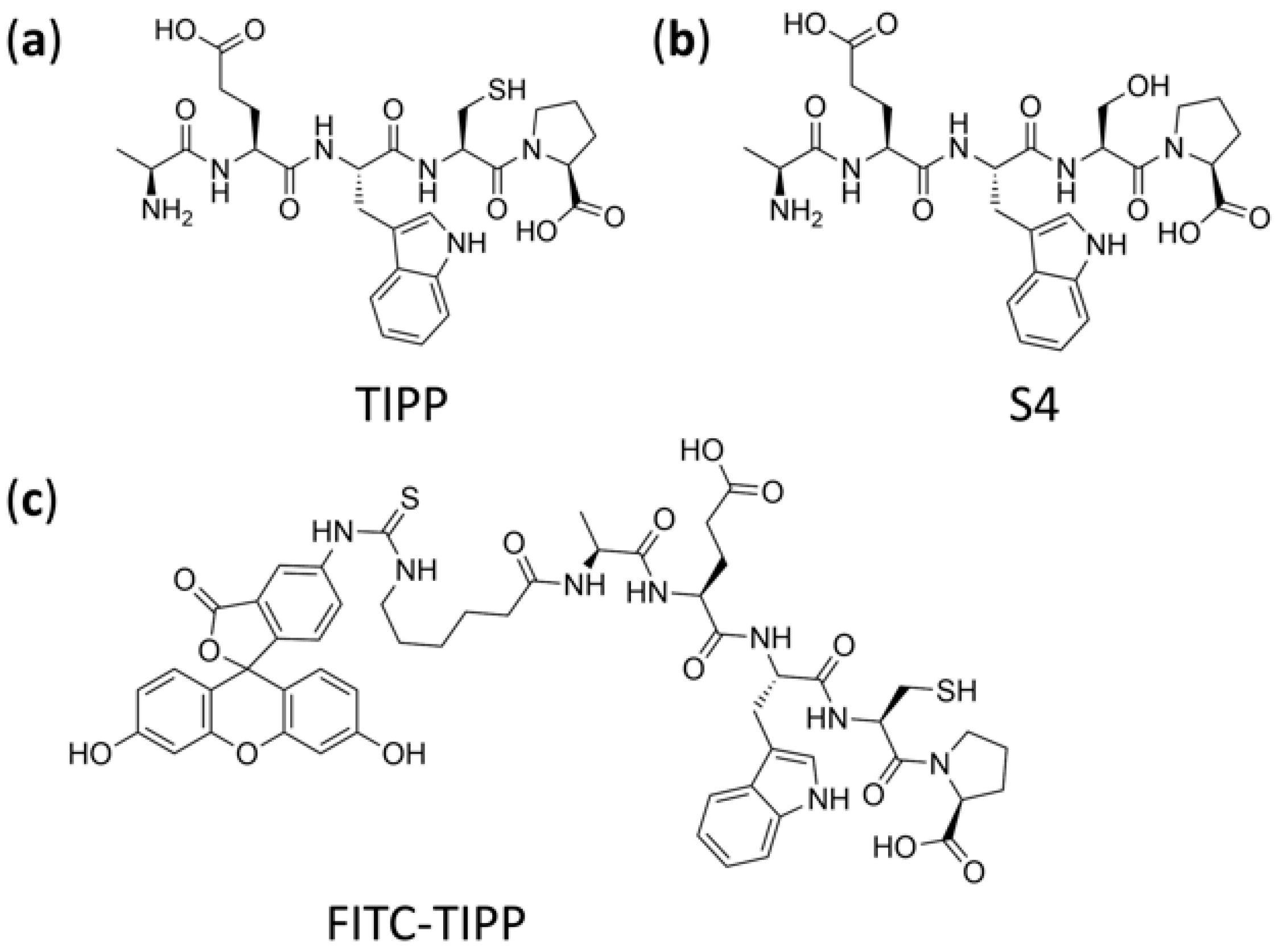 Molecules 27 04256 g001