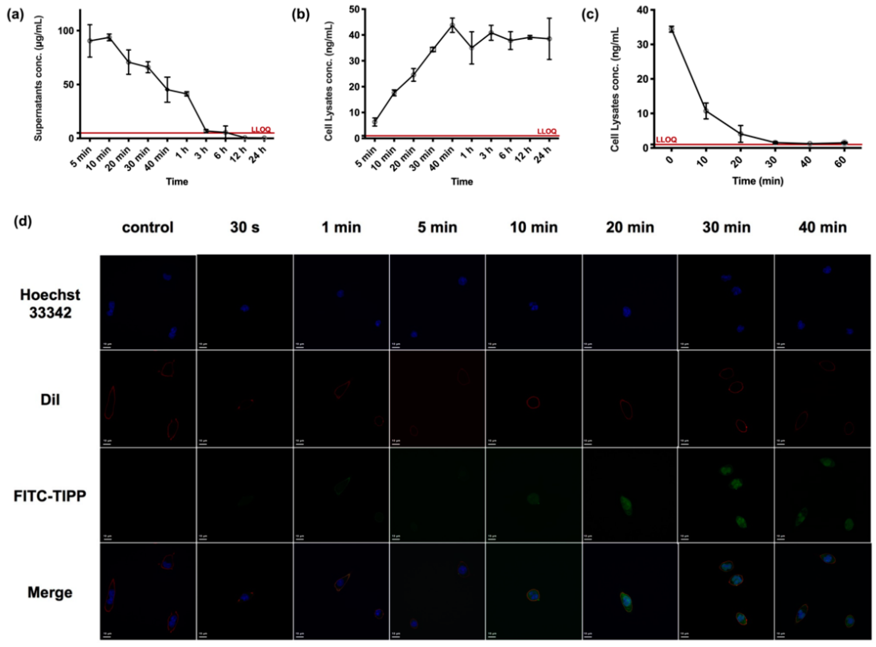 Molecules 27 04256 g005