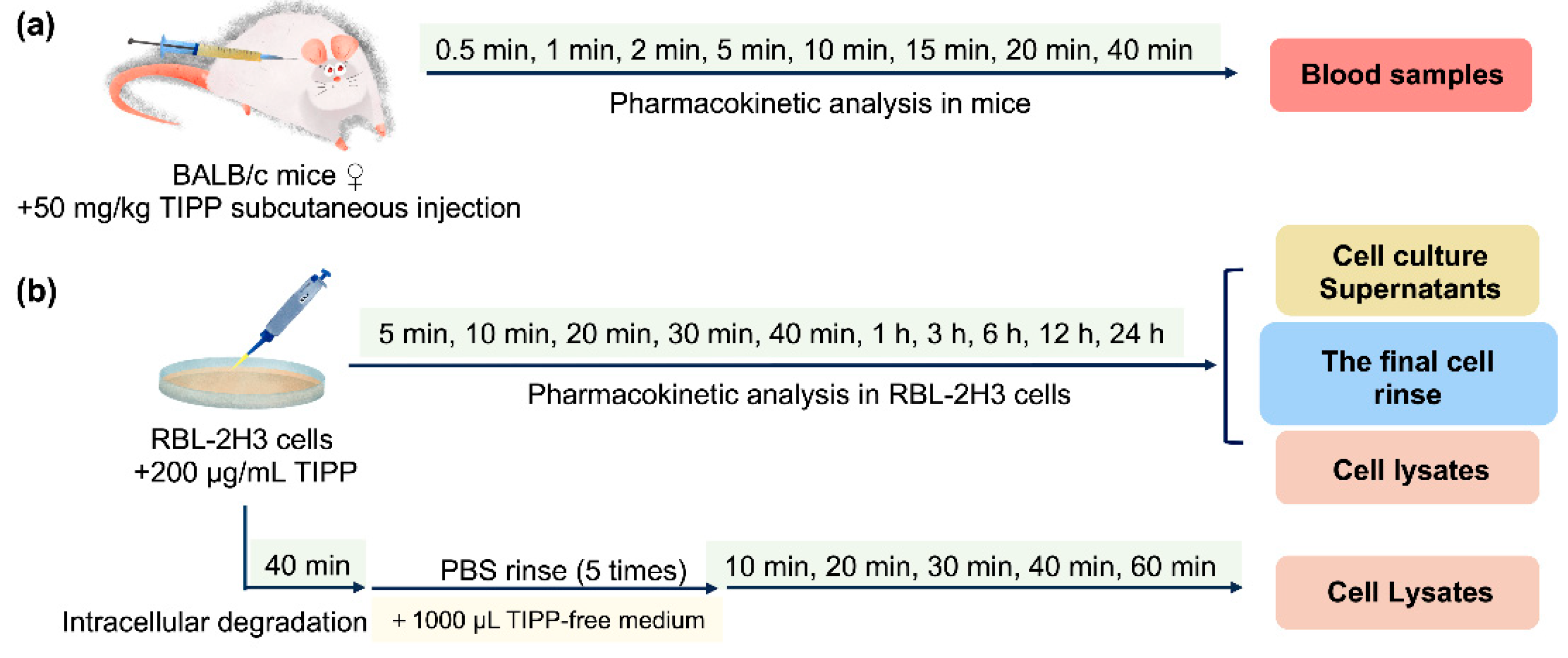 Molecules 27 04256 g008