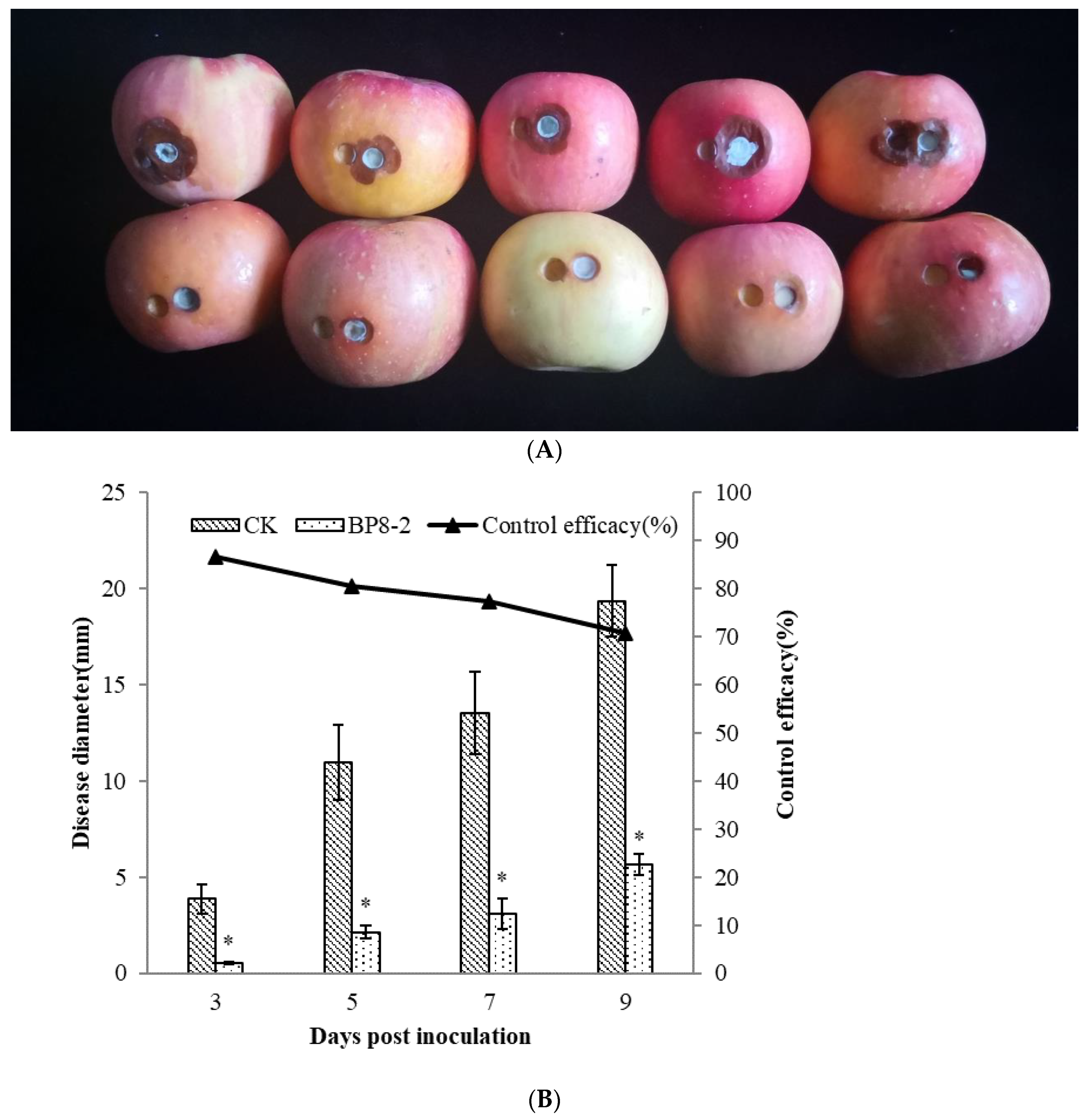 Molecules 27 04259 g003