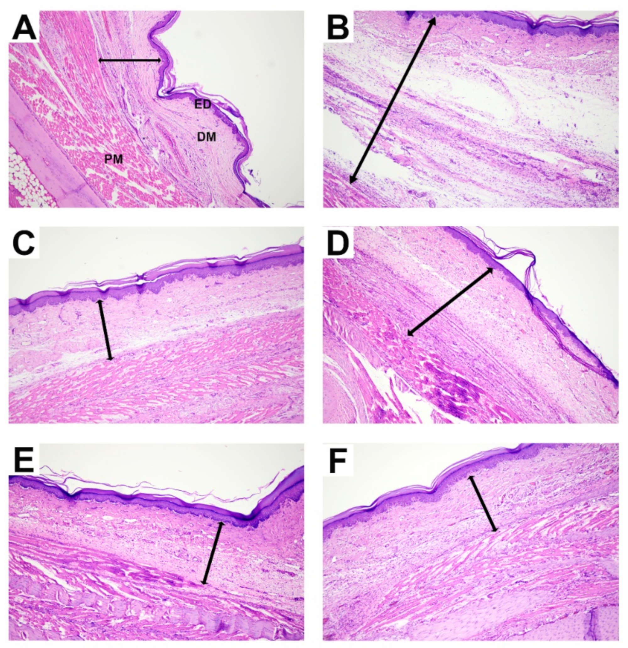 Molecules 27 04260 g004