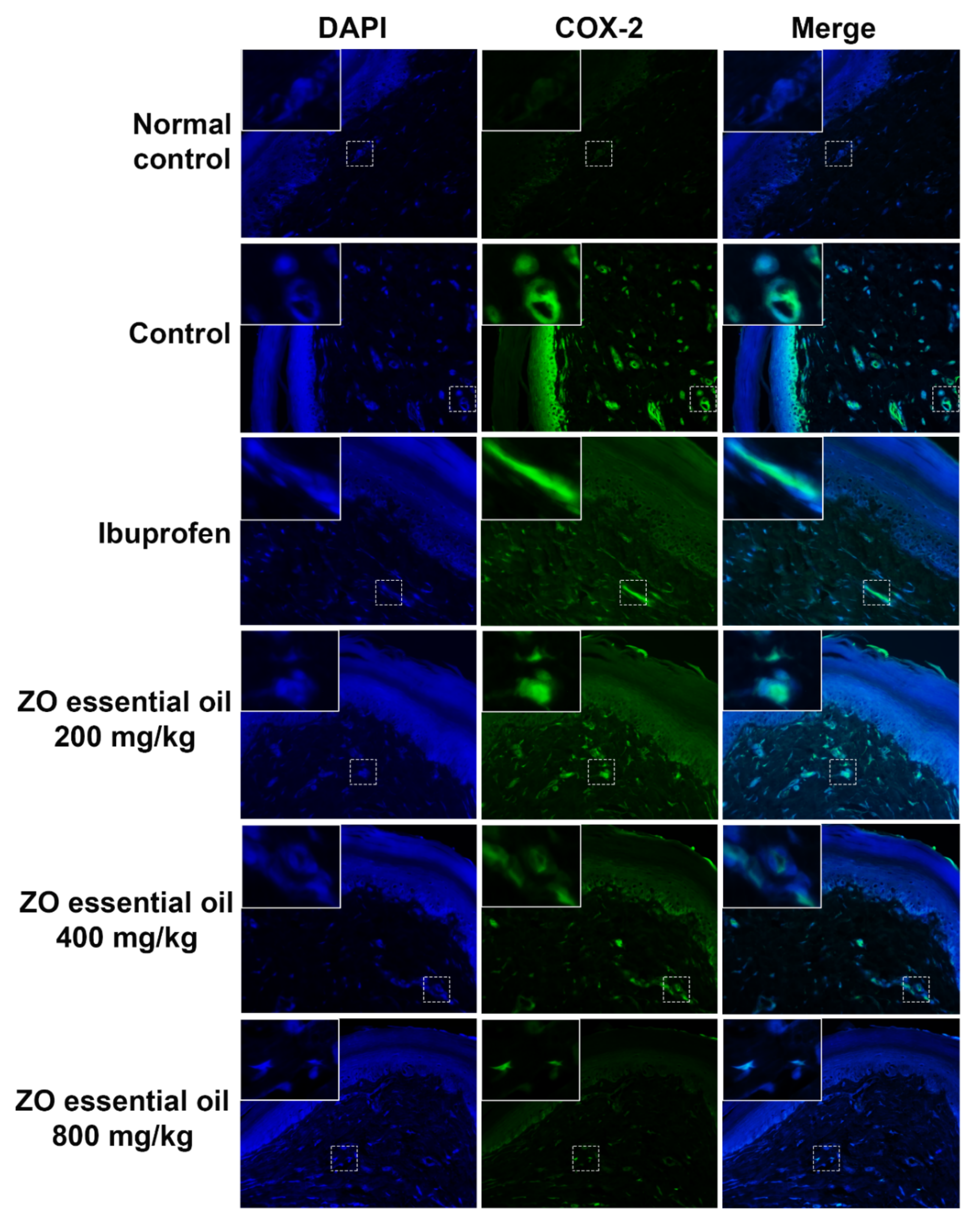 Molecules 27 04260 g005