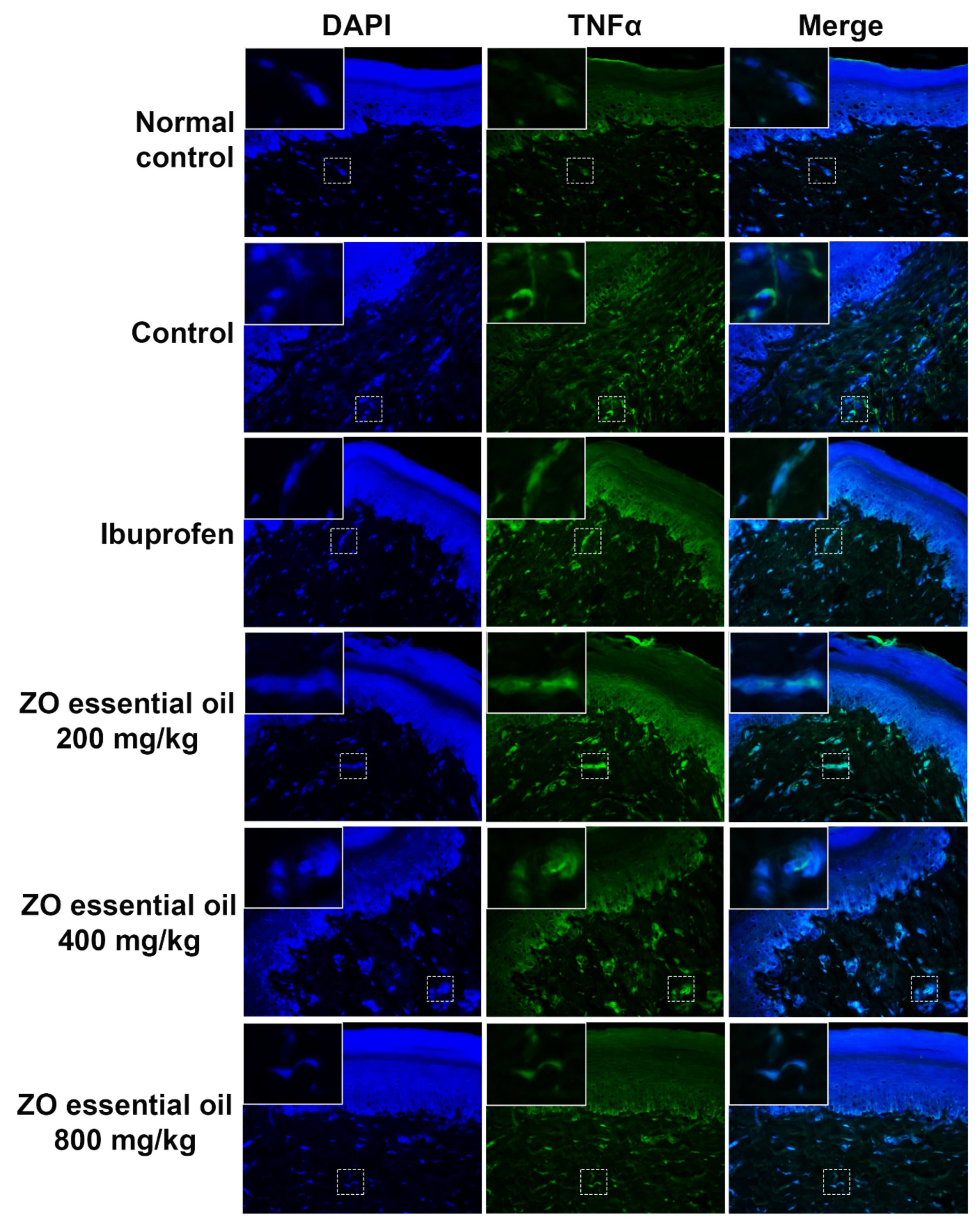 Molecules 27 04260 g007