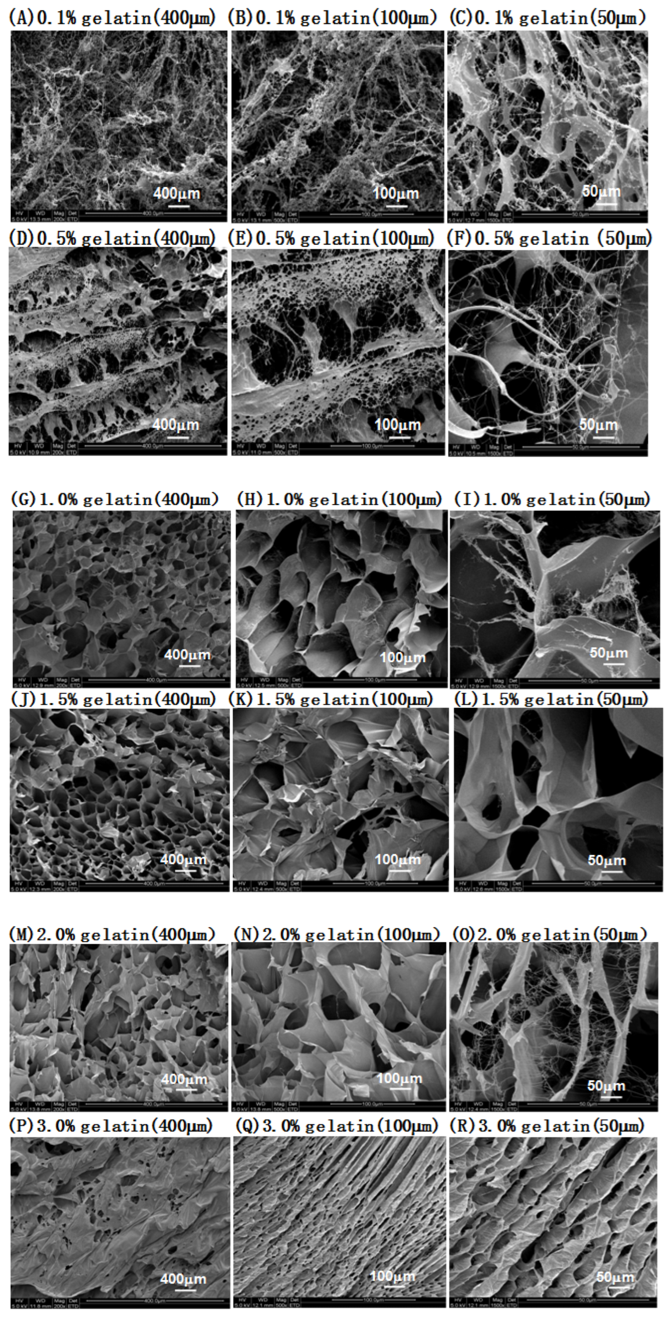 Molecules 27 04268 g003 Molecules 27 04268 g003