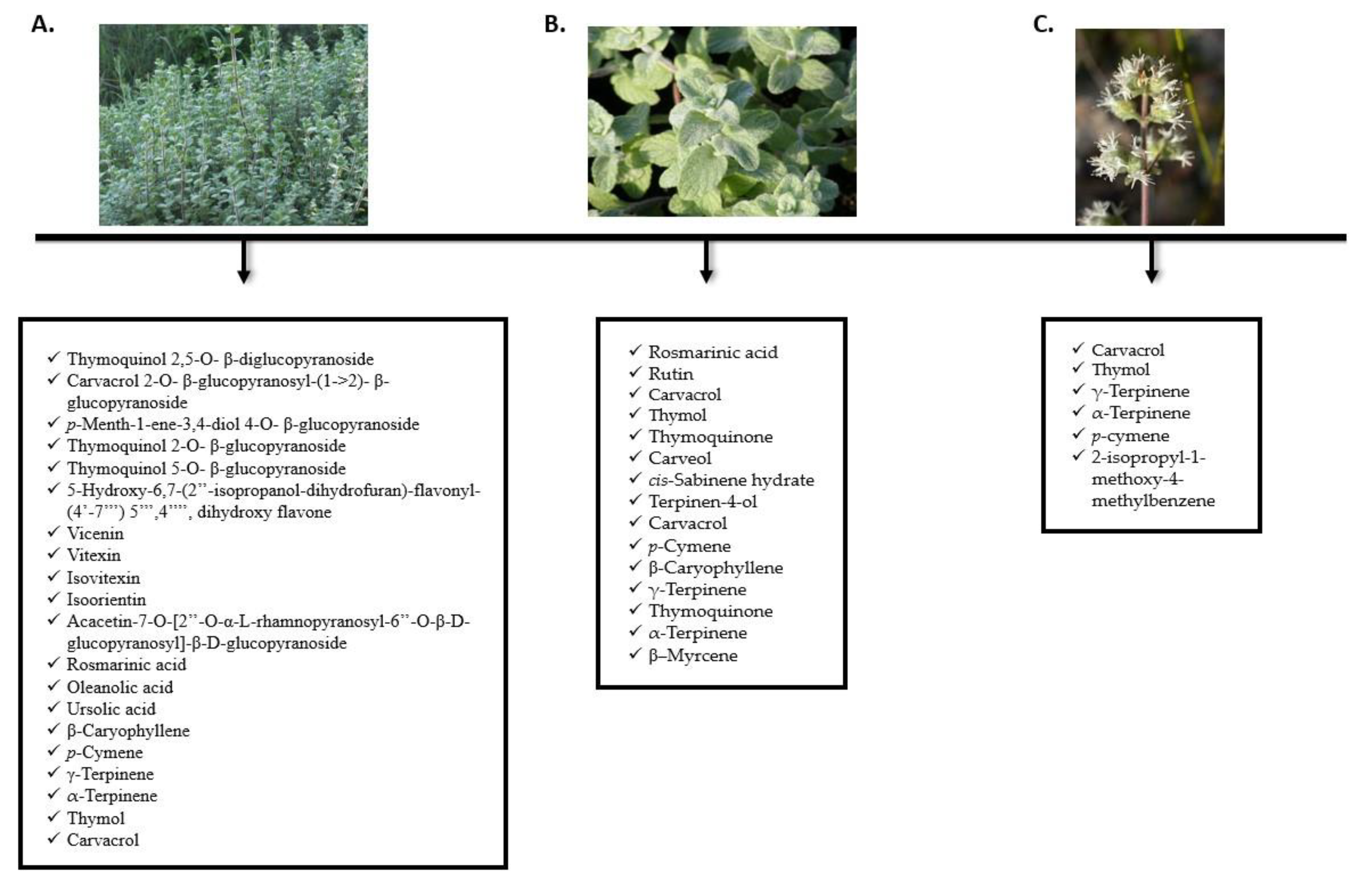Molecules 27 04272 g003 Molecules 27 04272 g003