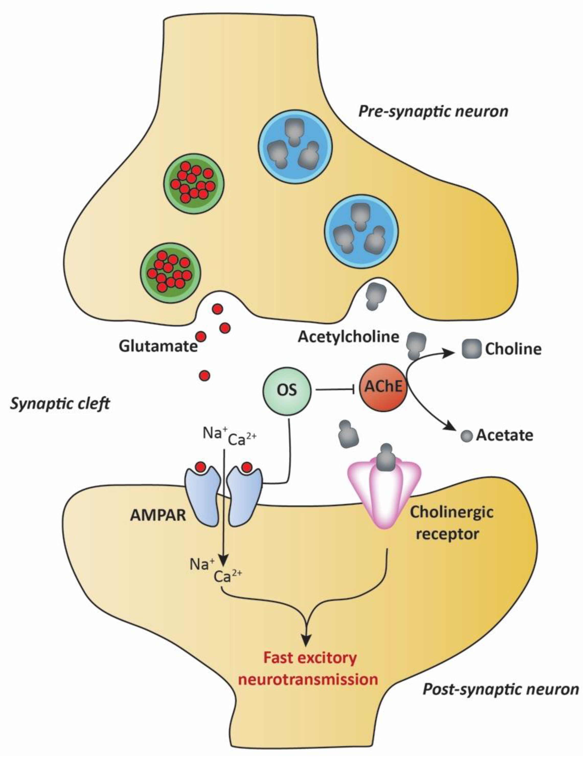 Molecules 27 04272 g005 Molecules 27 04272 g005