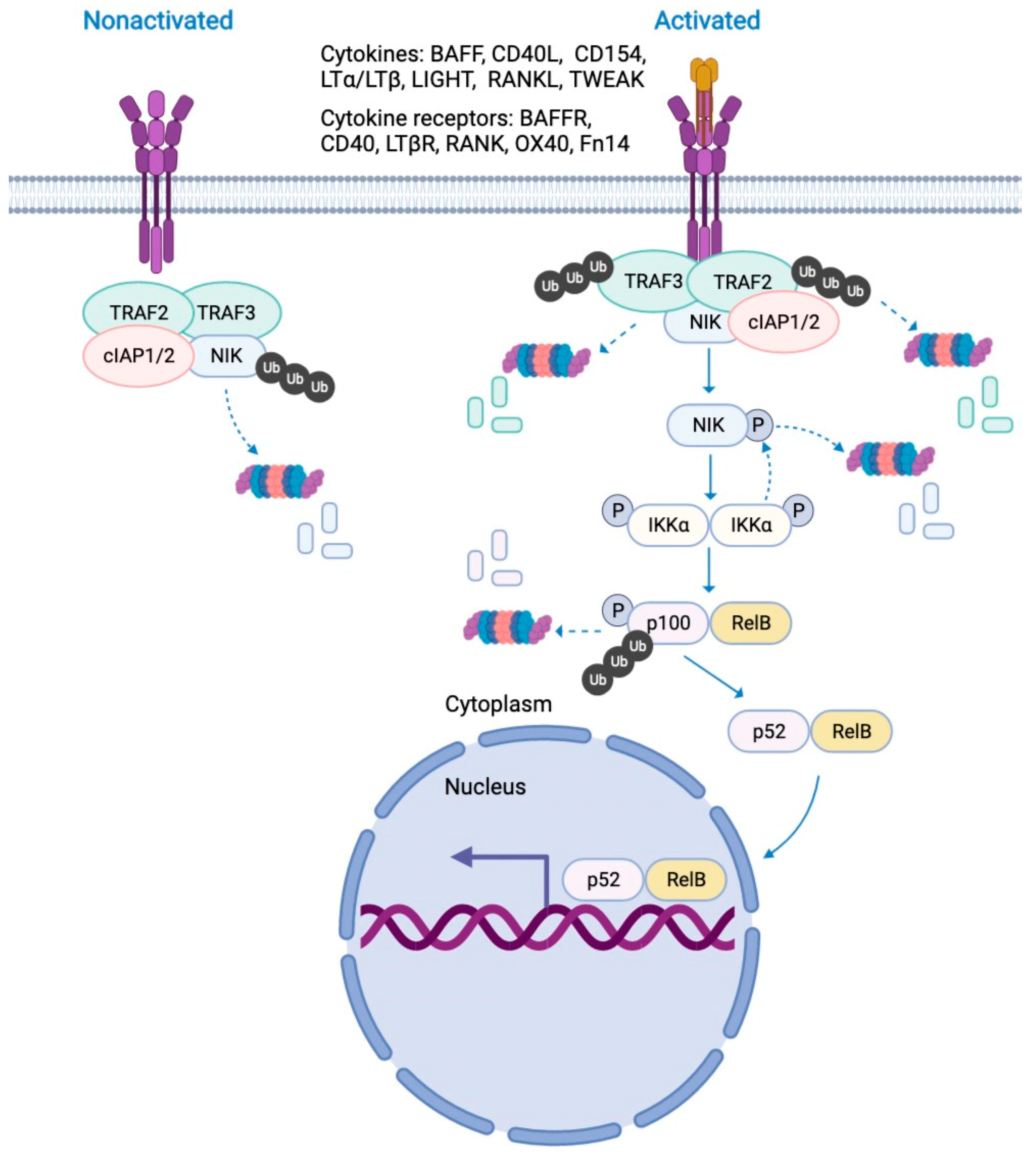 Molecules 27 04275 g001