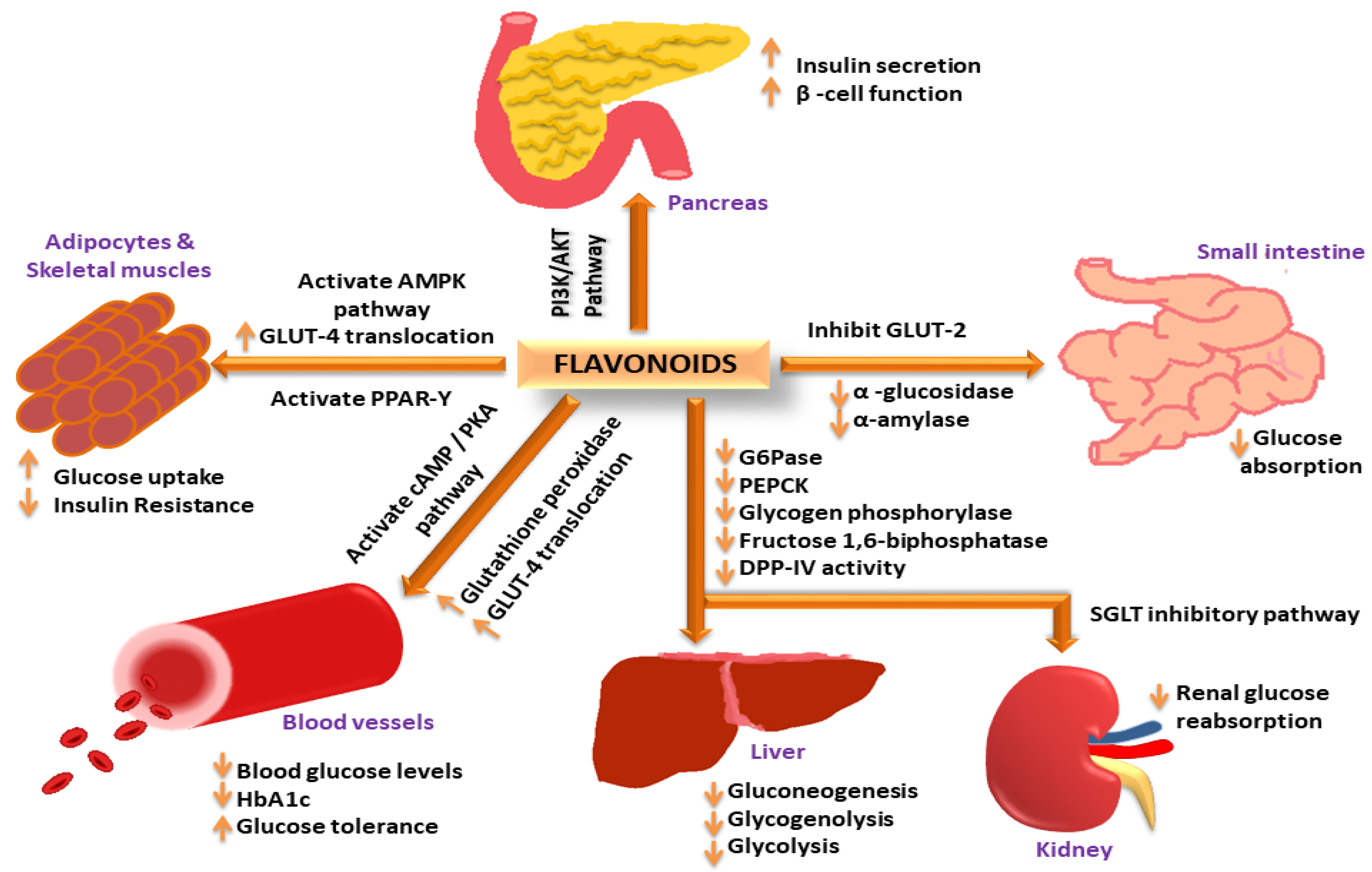 Molecules 27 04278 g001