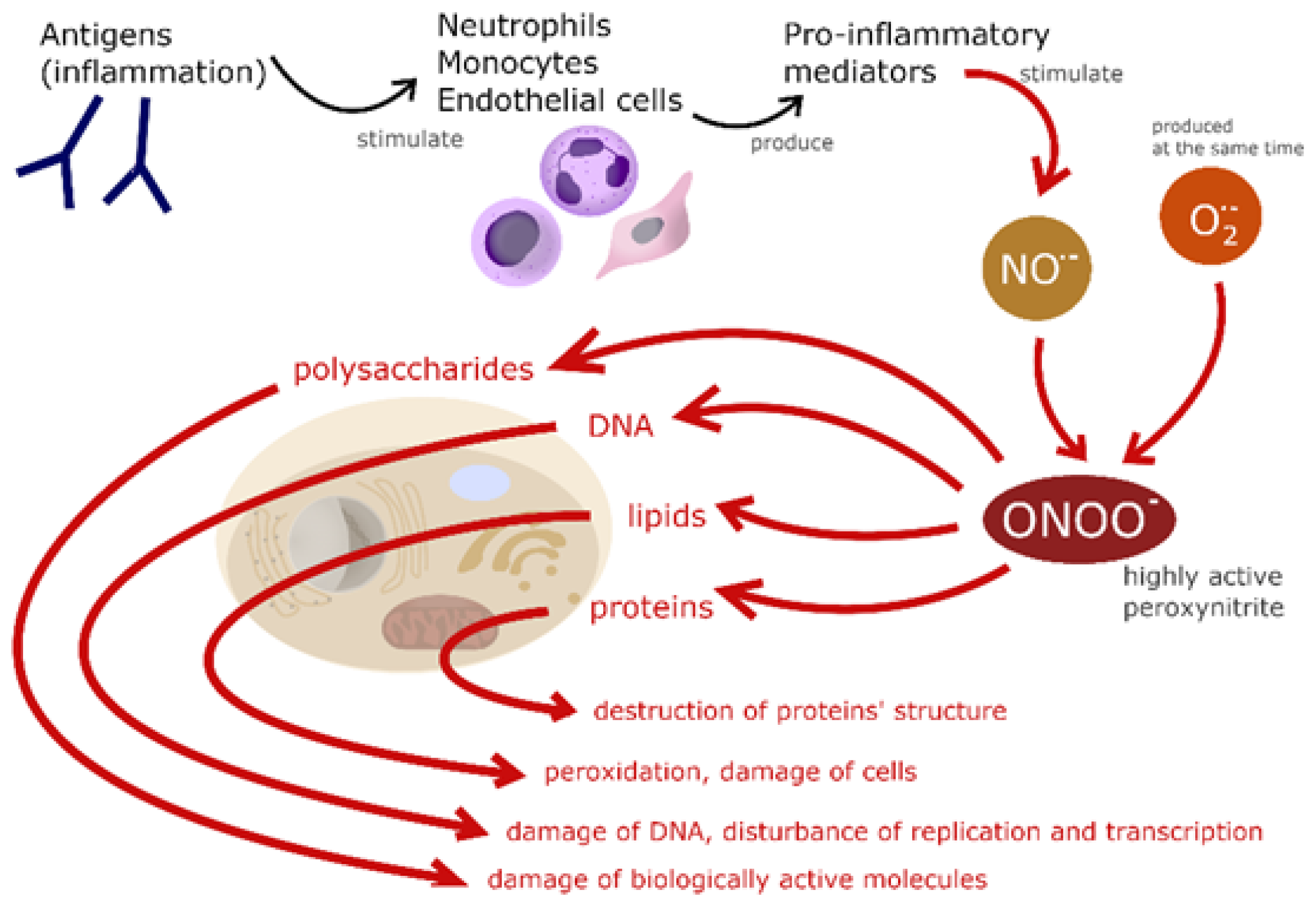 Molecules 27 04279 g001 Molecules 27 04279 g001