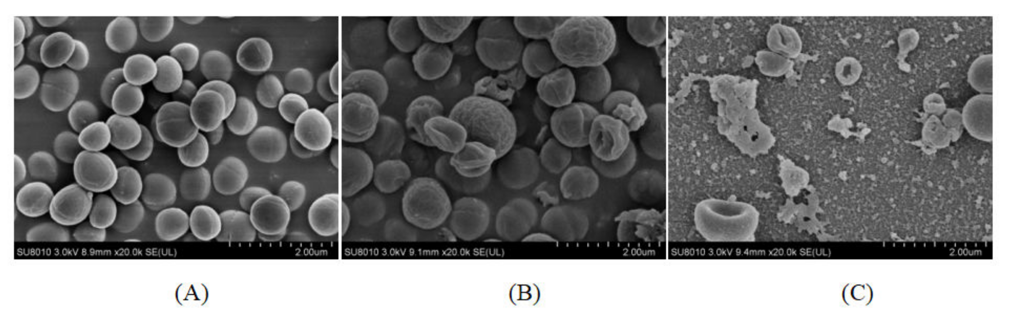 Molecules 27 04280 g004