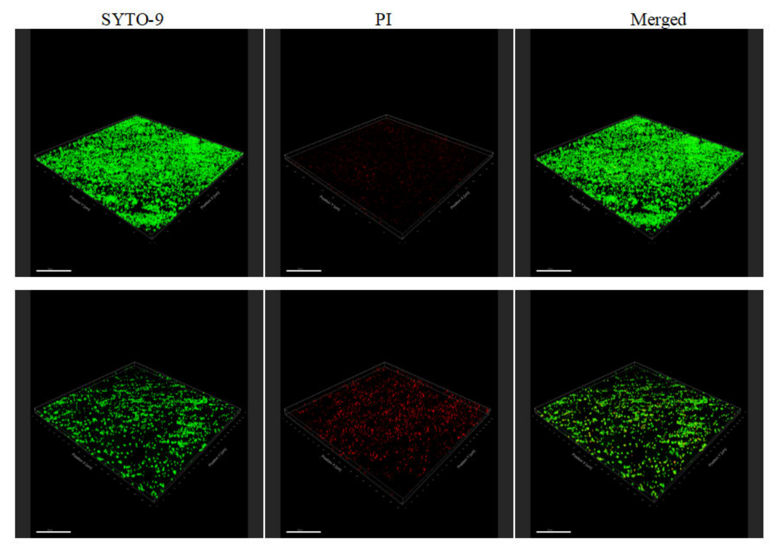 Molecules 27 04280 g006
