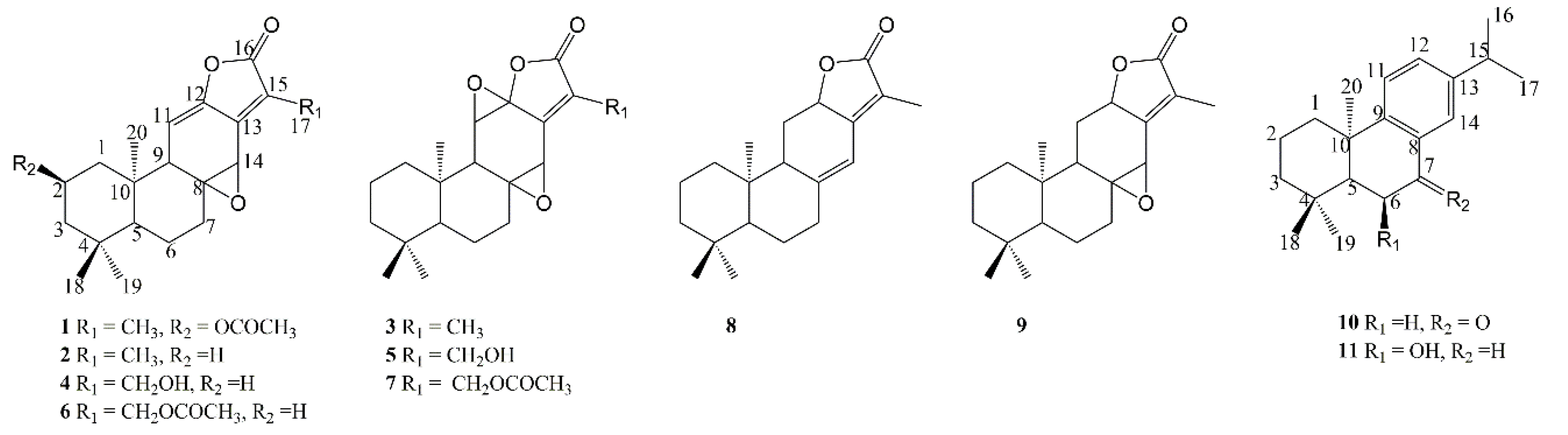 Molecules 27 04282 g003