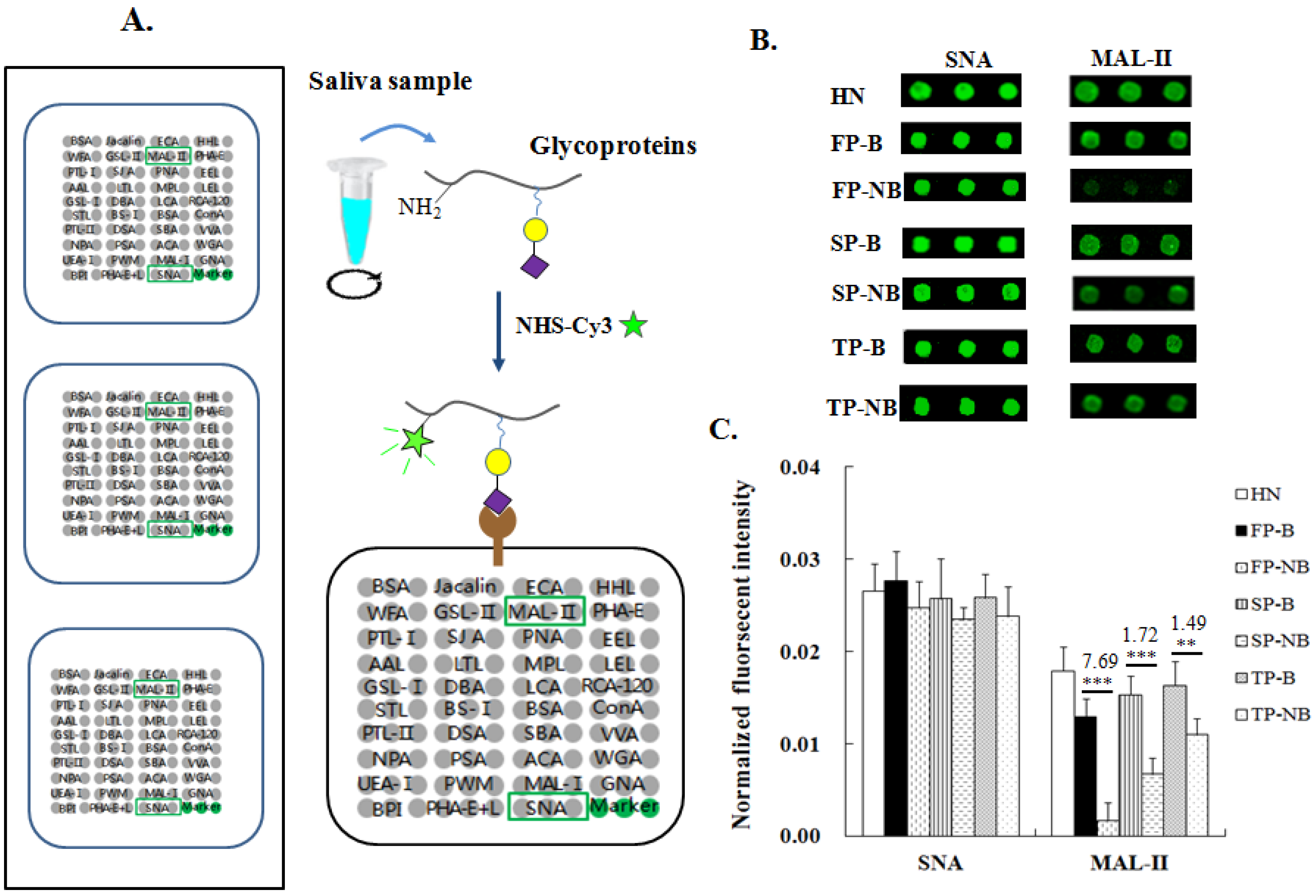 Molecules 27 04285 g001