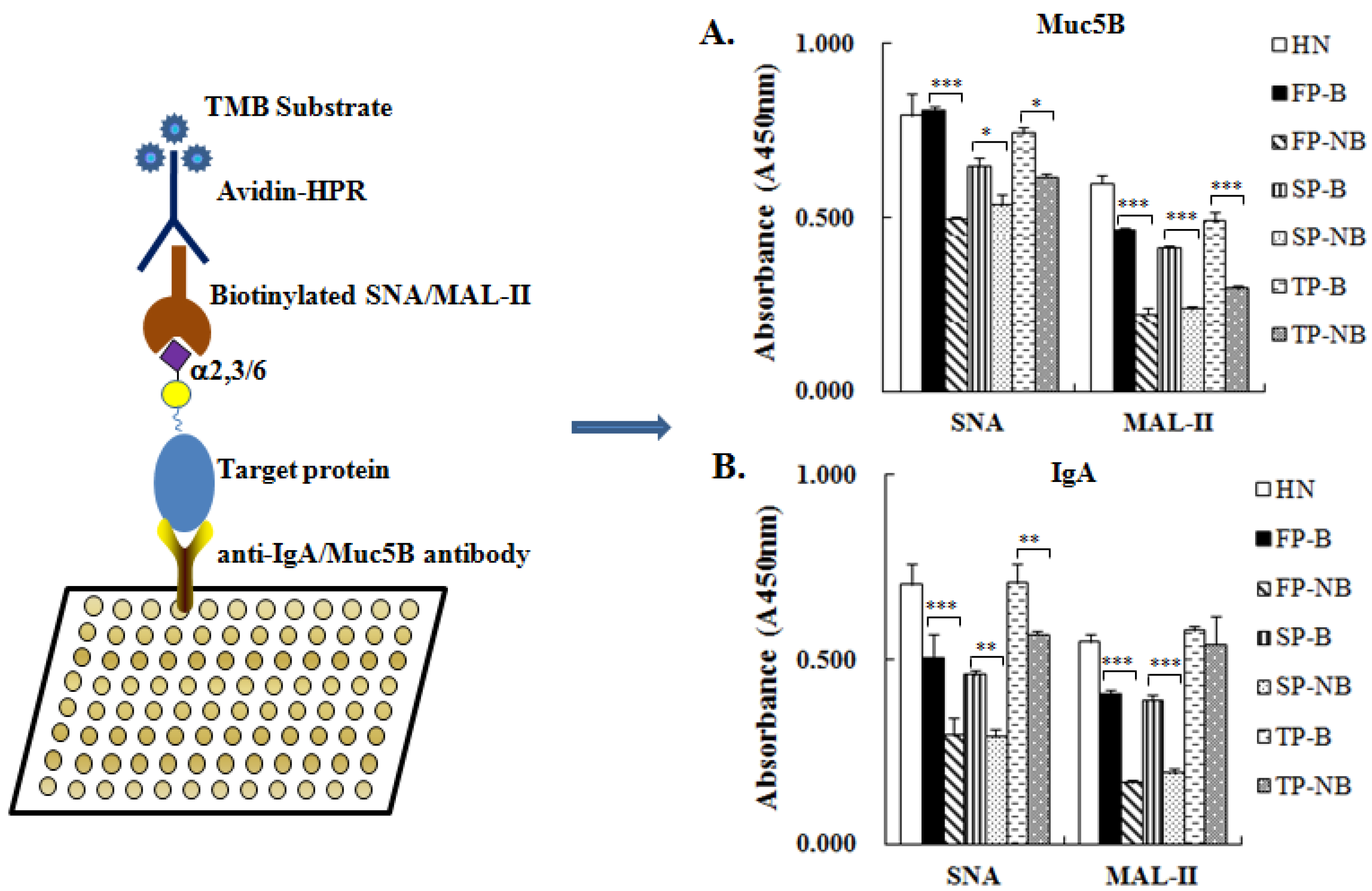 Molecules 27 04285 g005