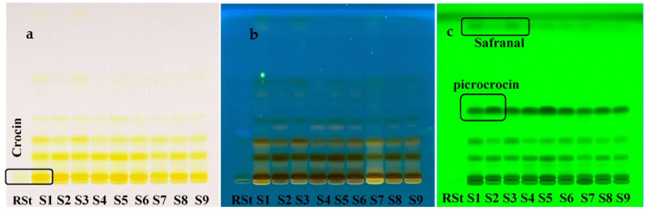 Molecules 27 04286 g002