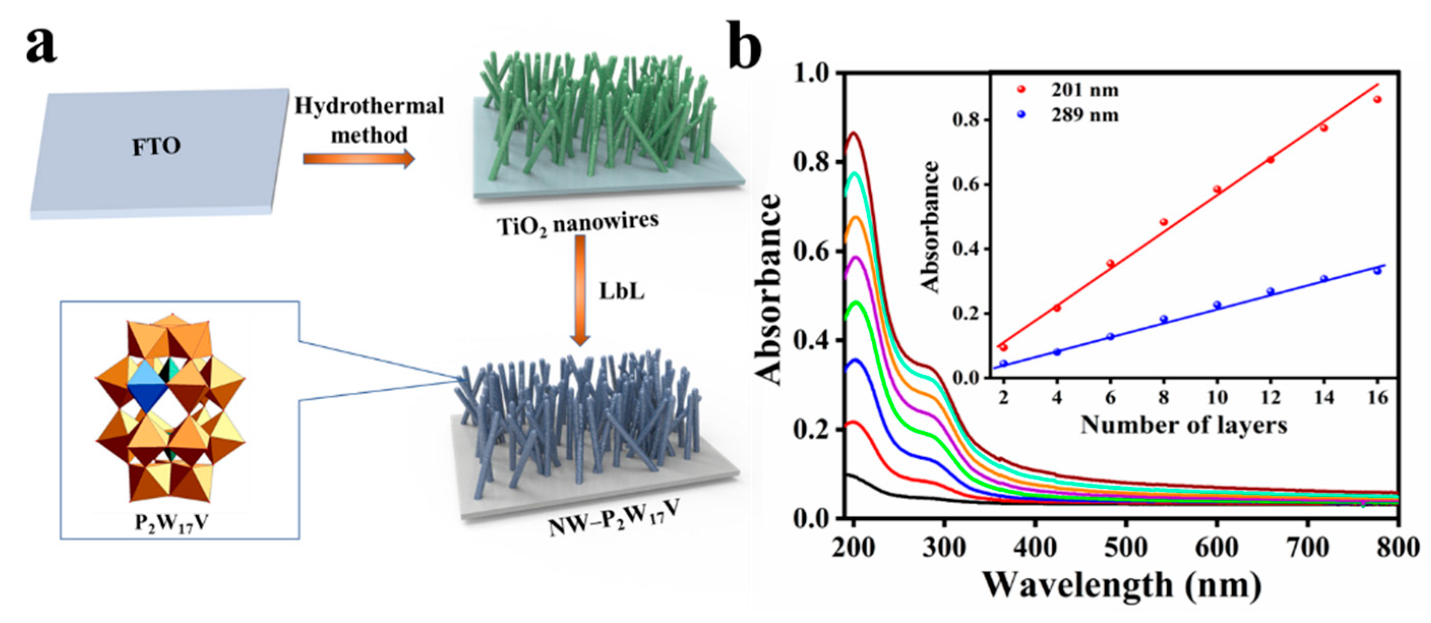 Molecules 27 04291 g001