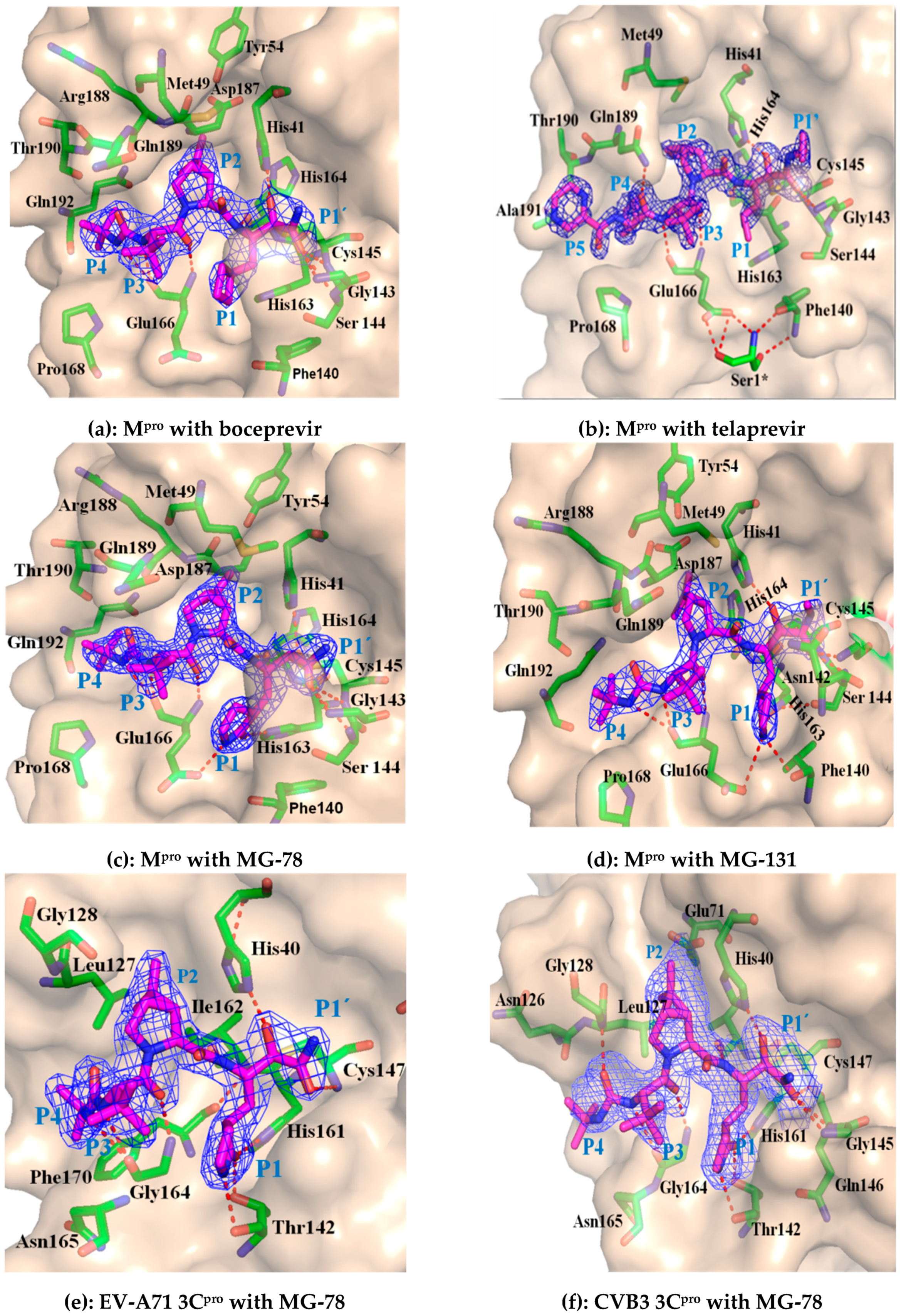 Molecules 27 04292 g002