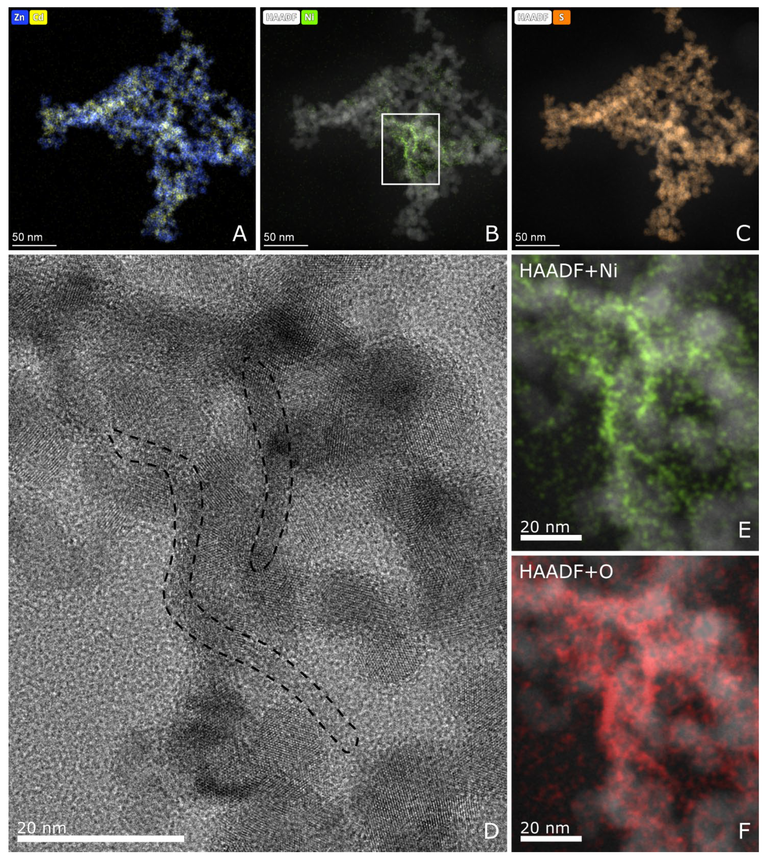 Molecules 27 04296 g006