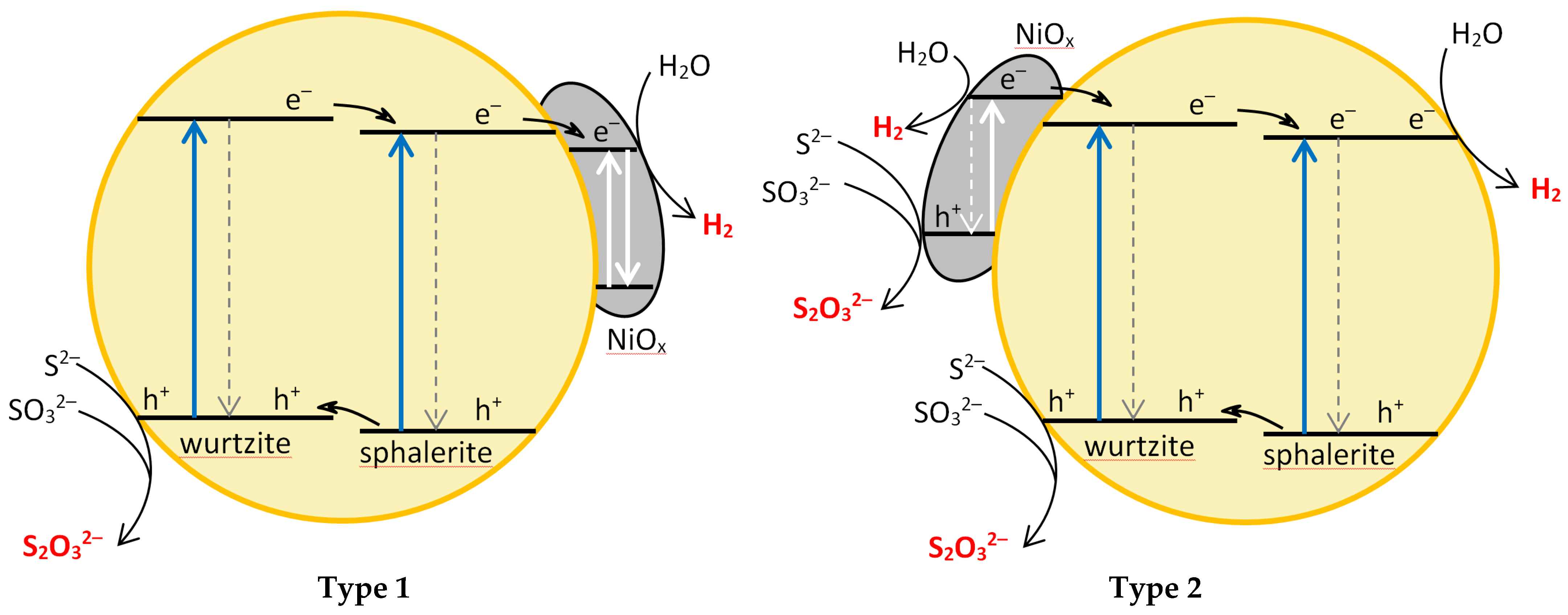 Molecules 27 04296 g007