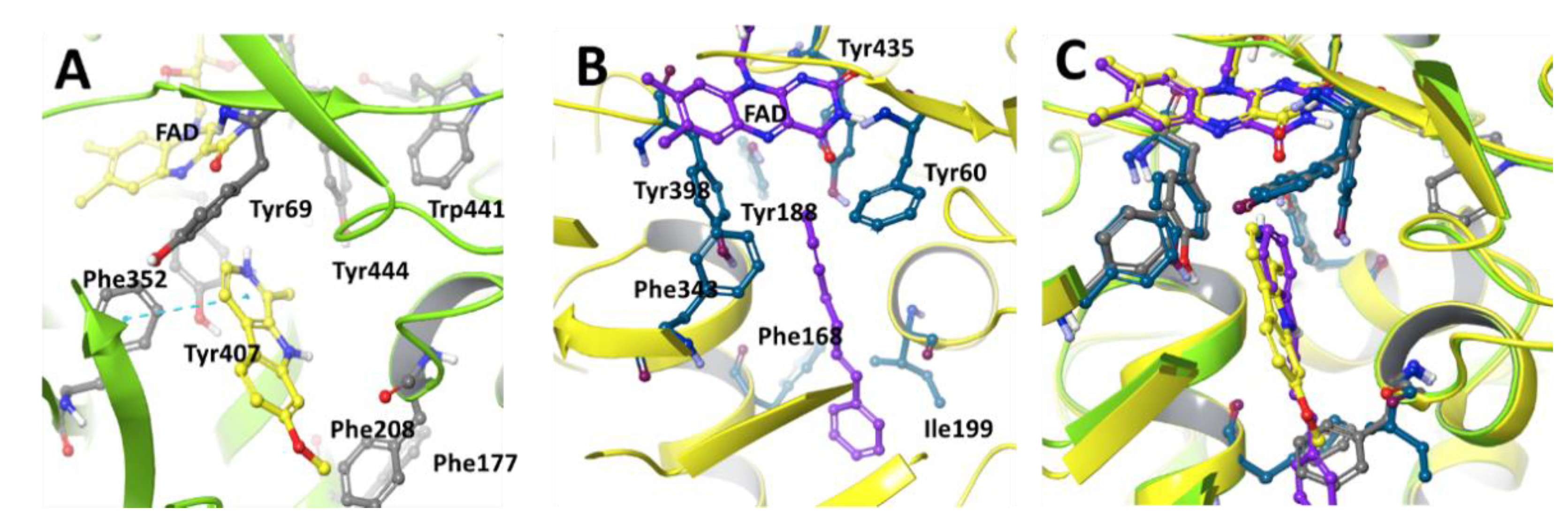 Molecules 27 04297 g002