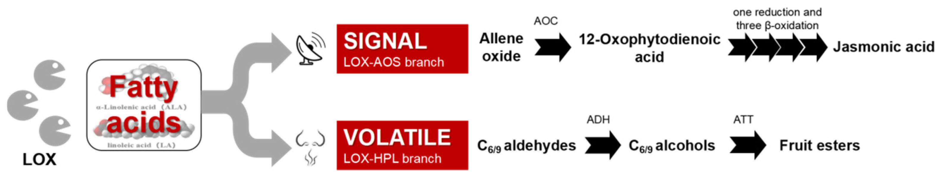 Molecules 27 04298 g001