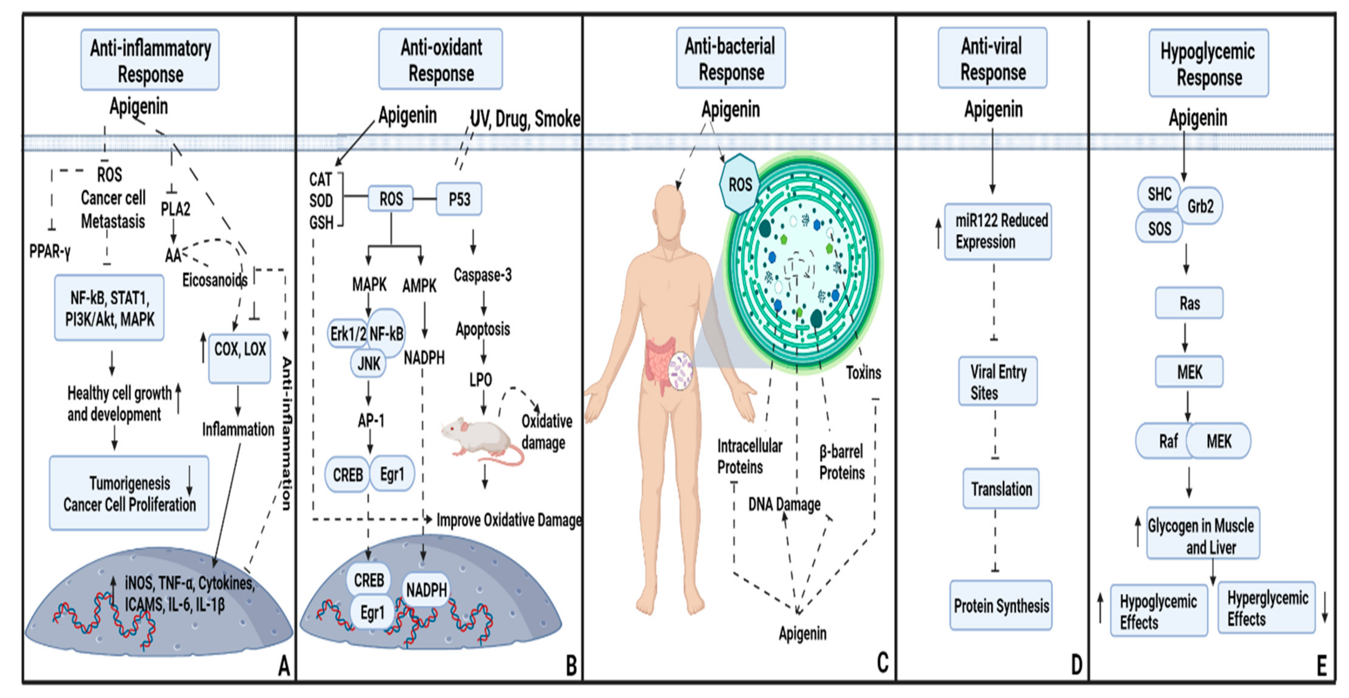 Molecules 27 04304 g001