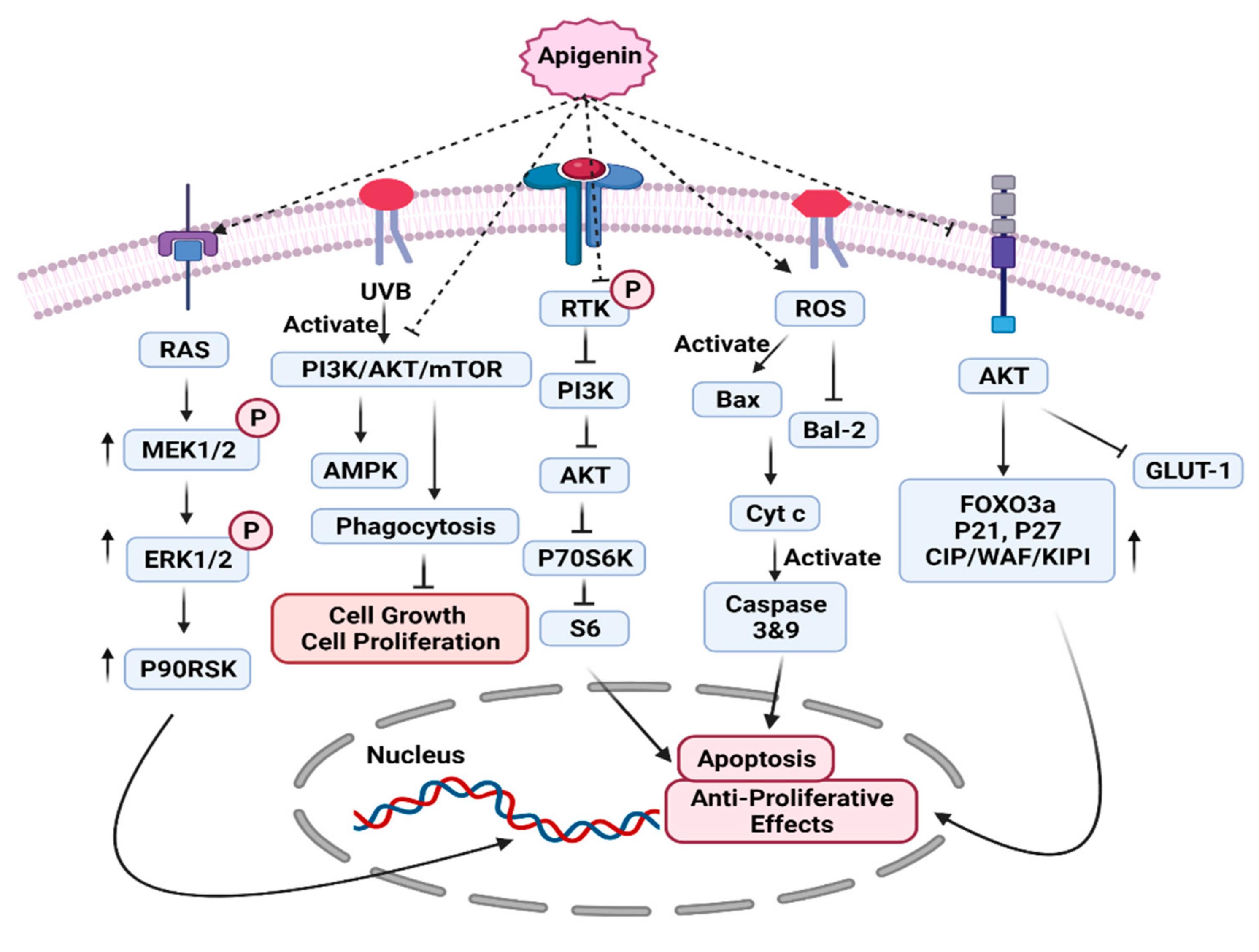 Molecules 27 04304 g002