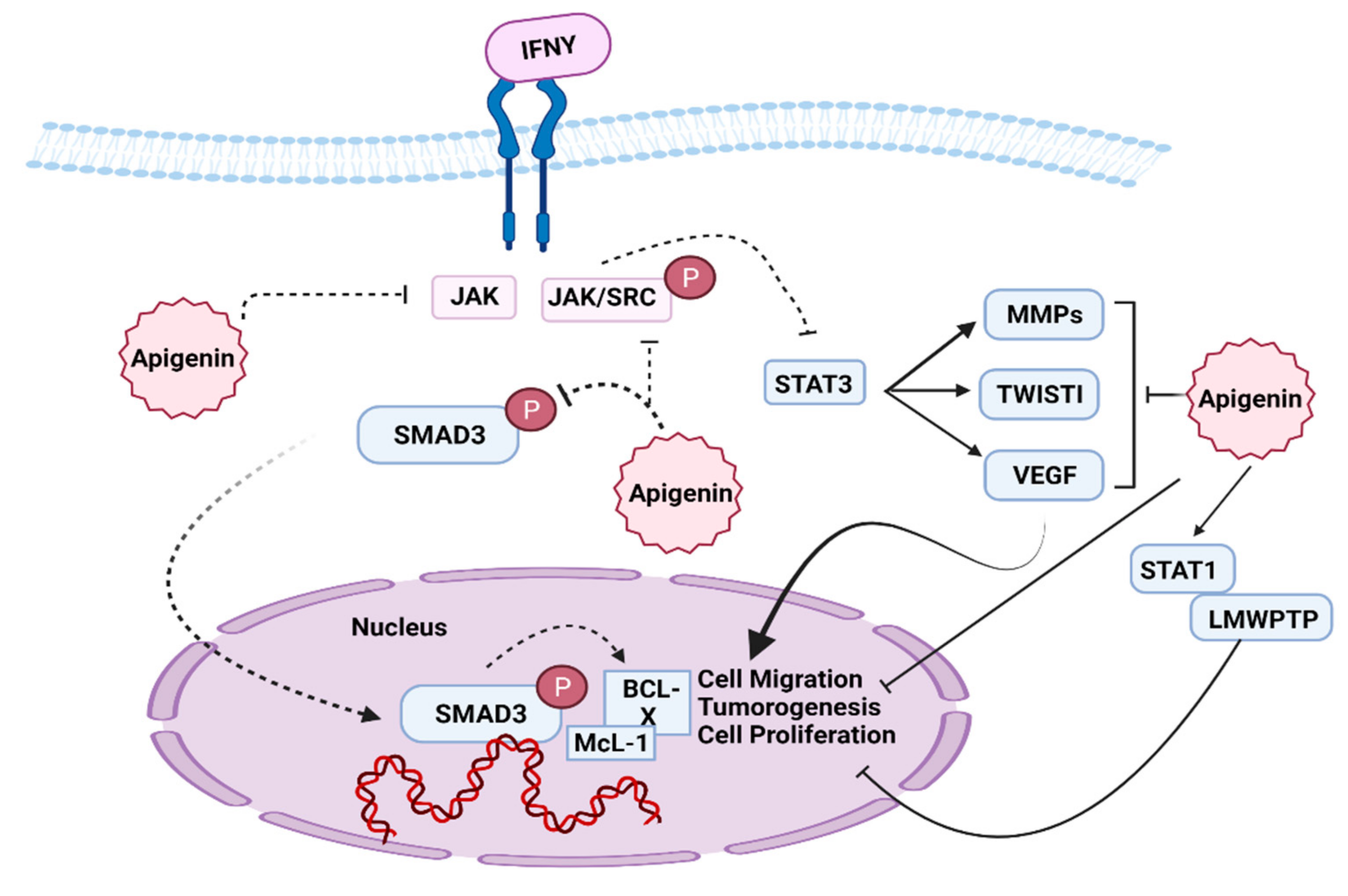 Molecules 27 04304 g003