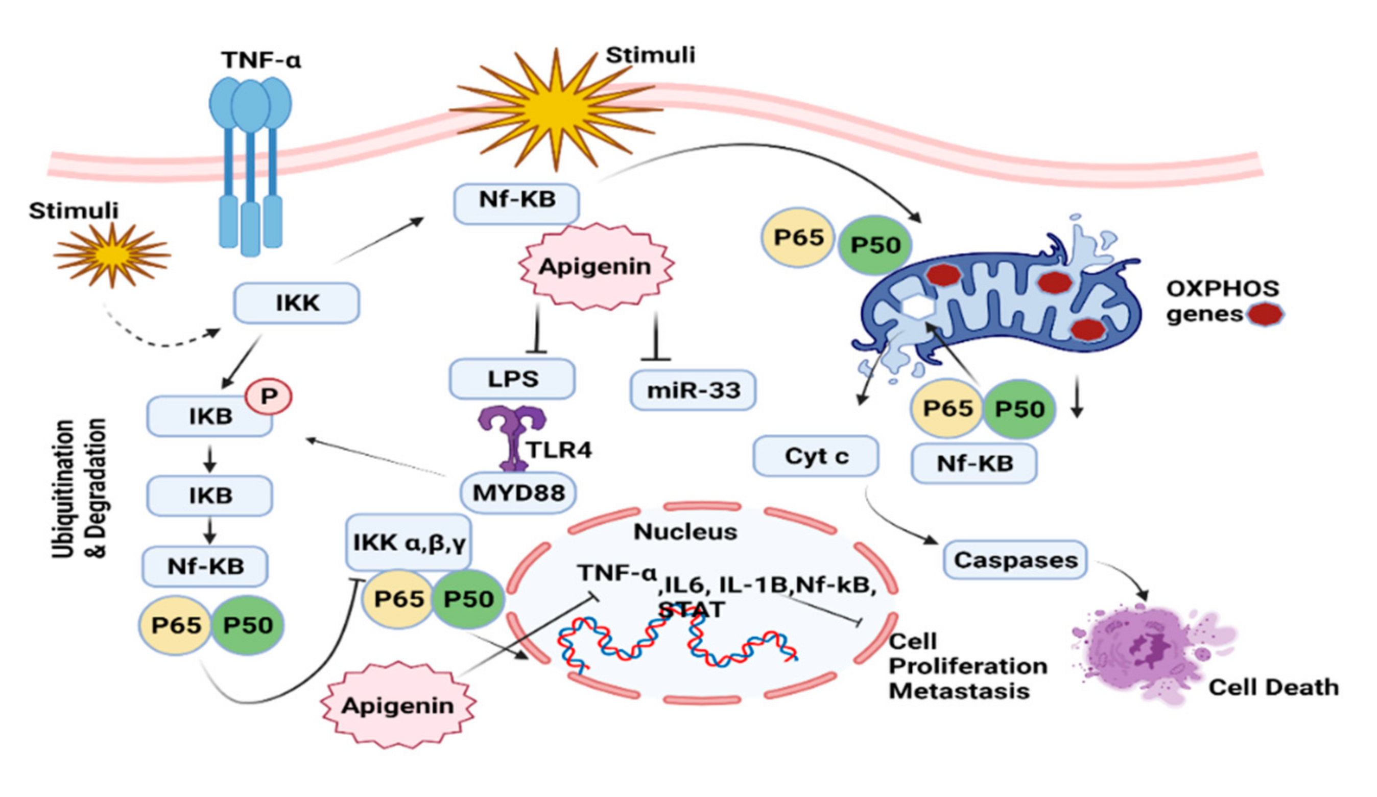 Molecules 27 04304 g004